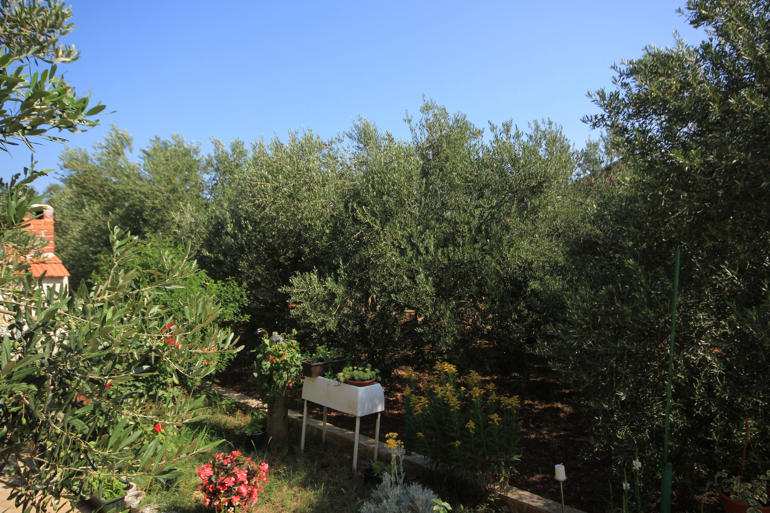 Top Pašman Kraj Top Pašman Kraj