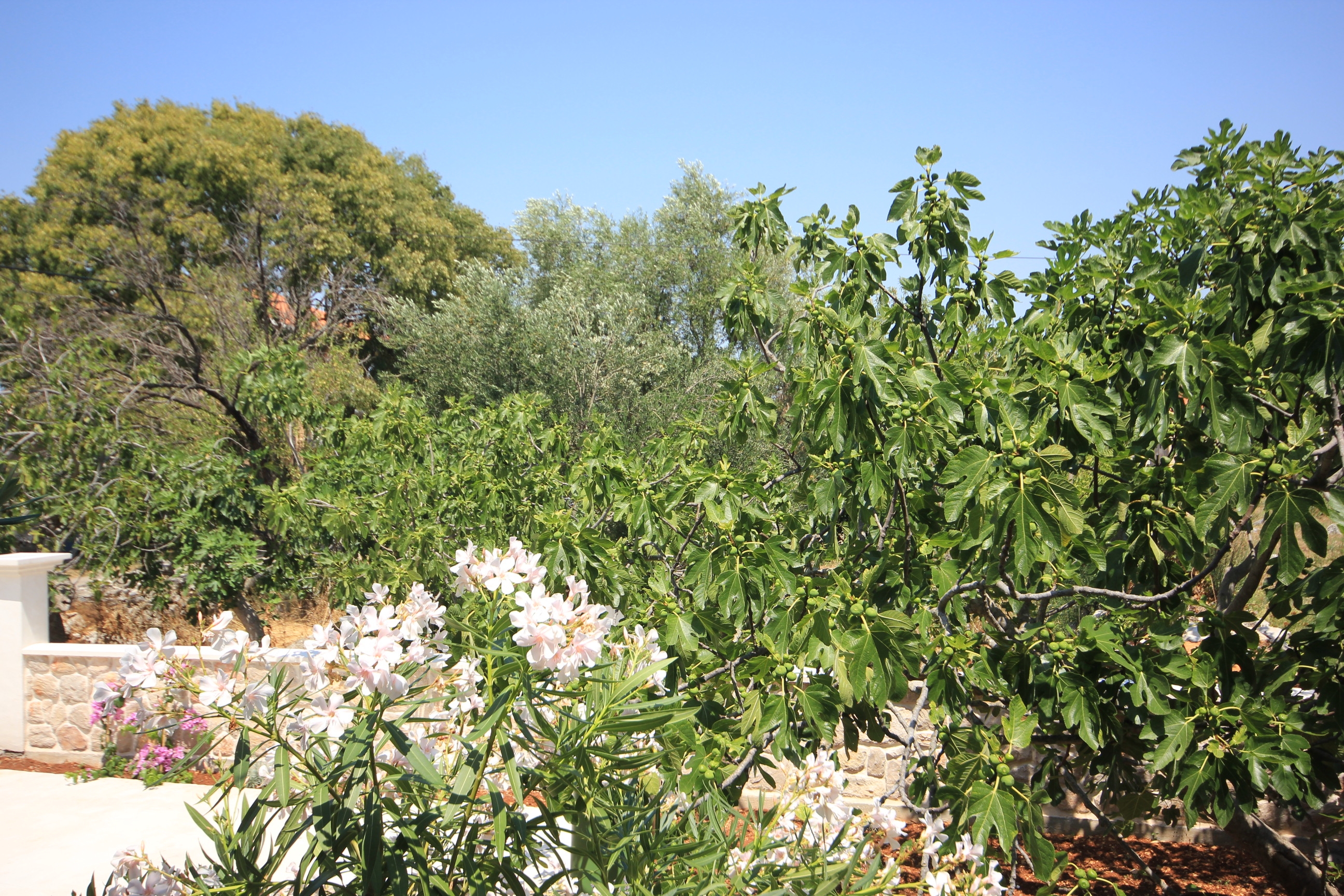 Dvosobni apartman s terasom Pašman  A-a