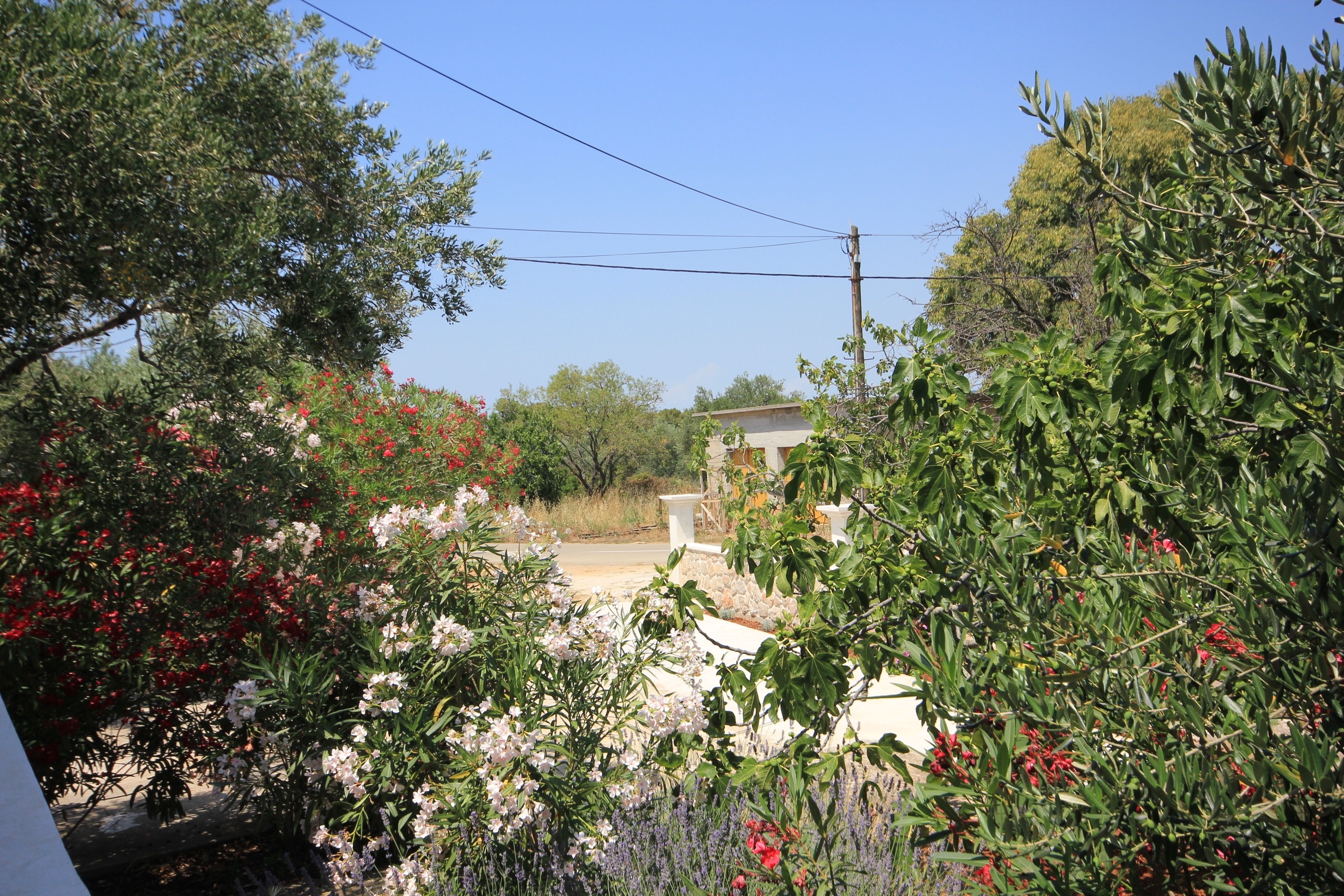 Dvosobni apartman s terasom Pašman  A-a