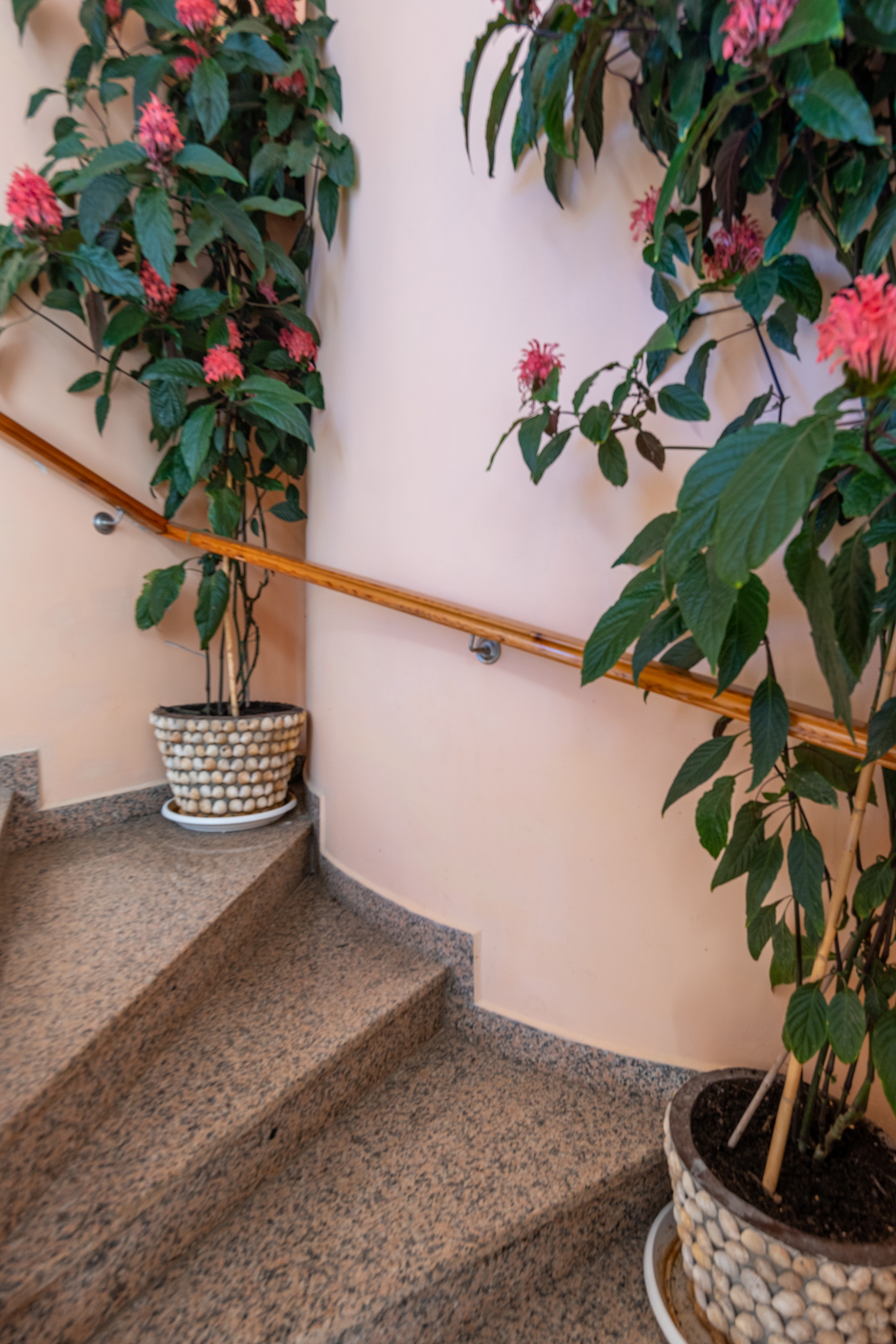 Dvosobni apartman s terasom Pašman  A-b