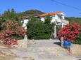 Preko, Ugljan, Hébergement 8224 - Appartement avec une plage de sables.