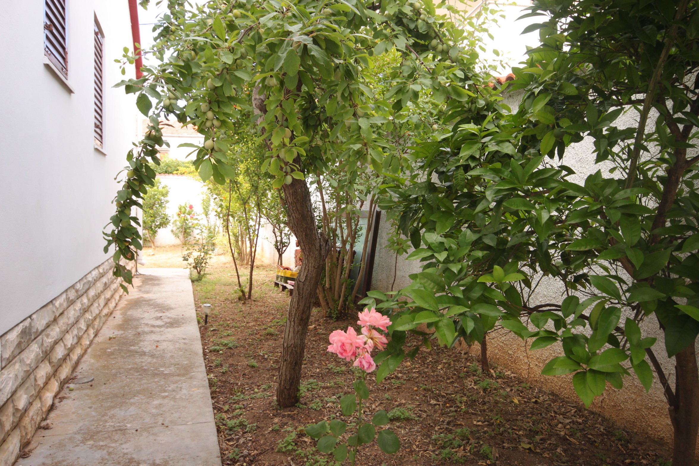 Two bedroom apartment with terrace and sea view Preko, Ugljan  A-a