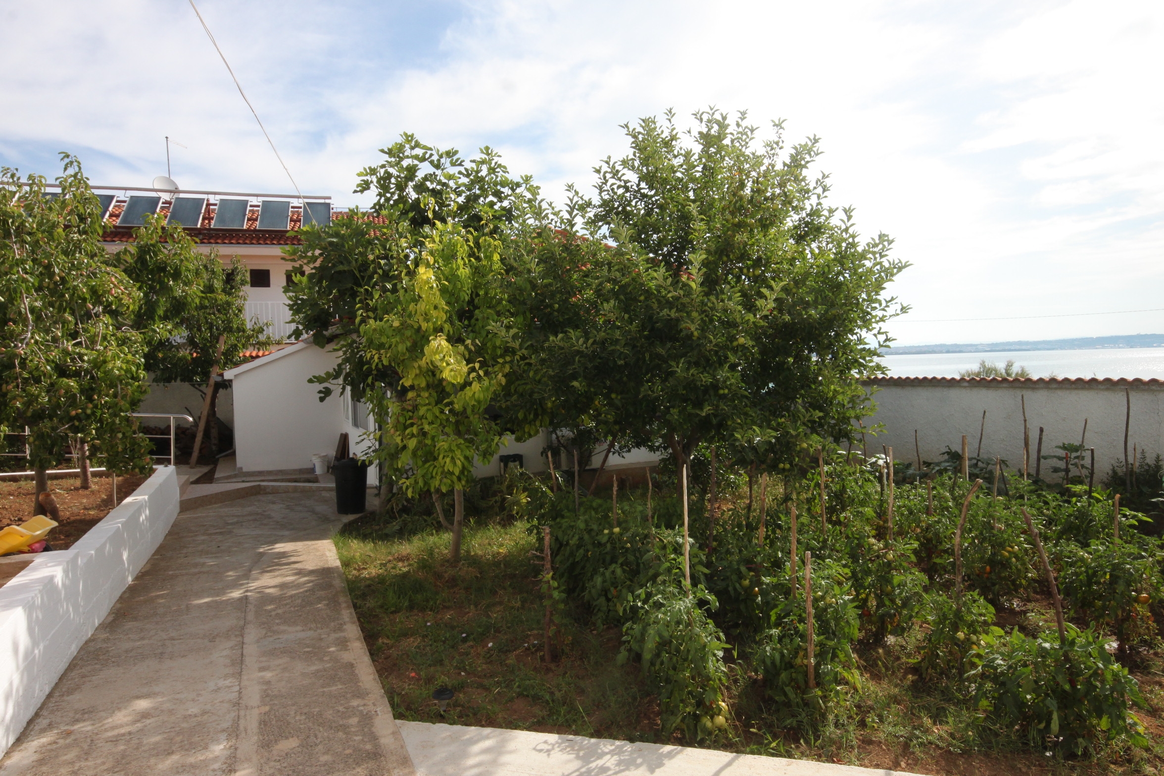 One bedroom apartment with terrace Preko, Ugljan  A-c