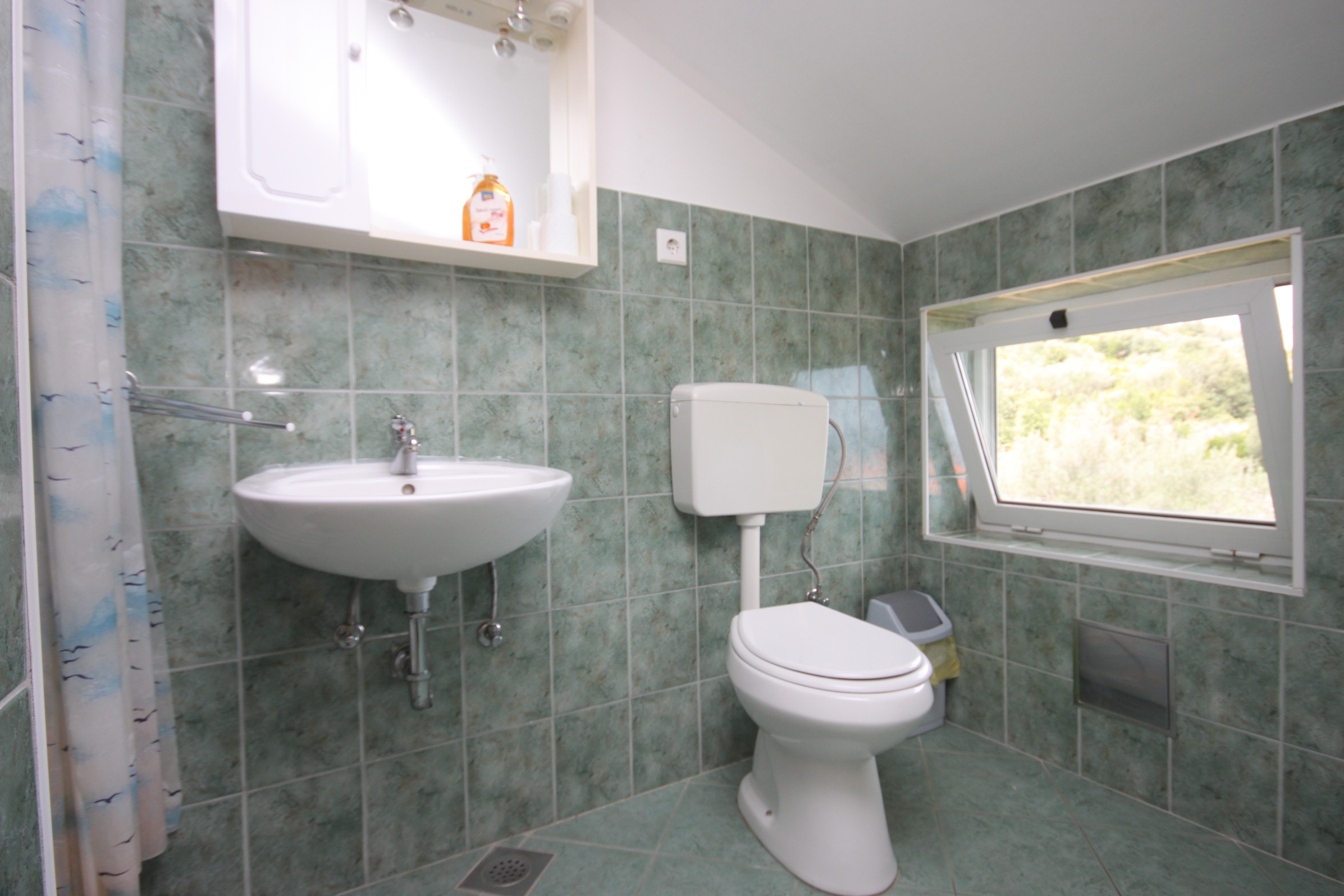 Comfortable and spacious apartment with terrace and sea view Kali, Ugljan  A-a