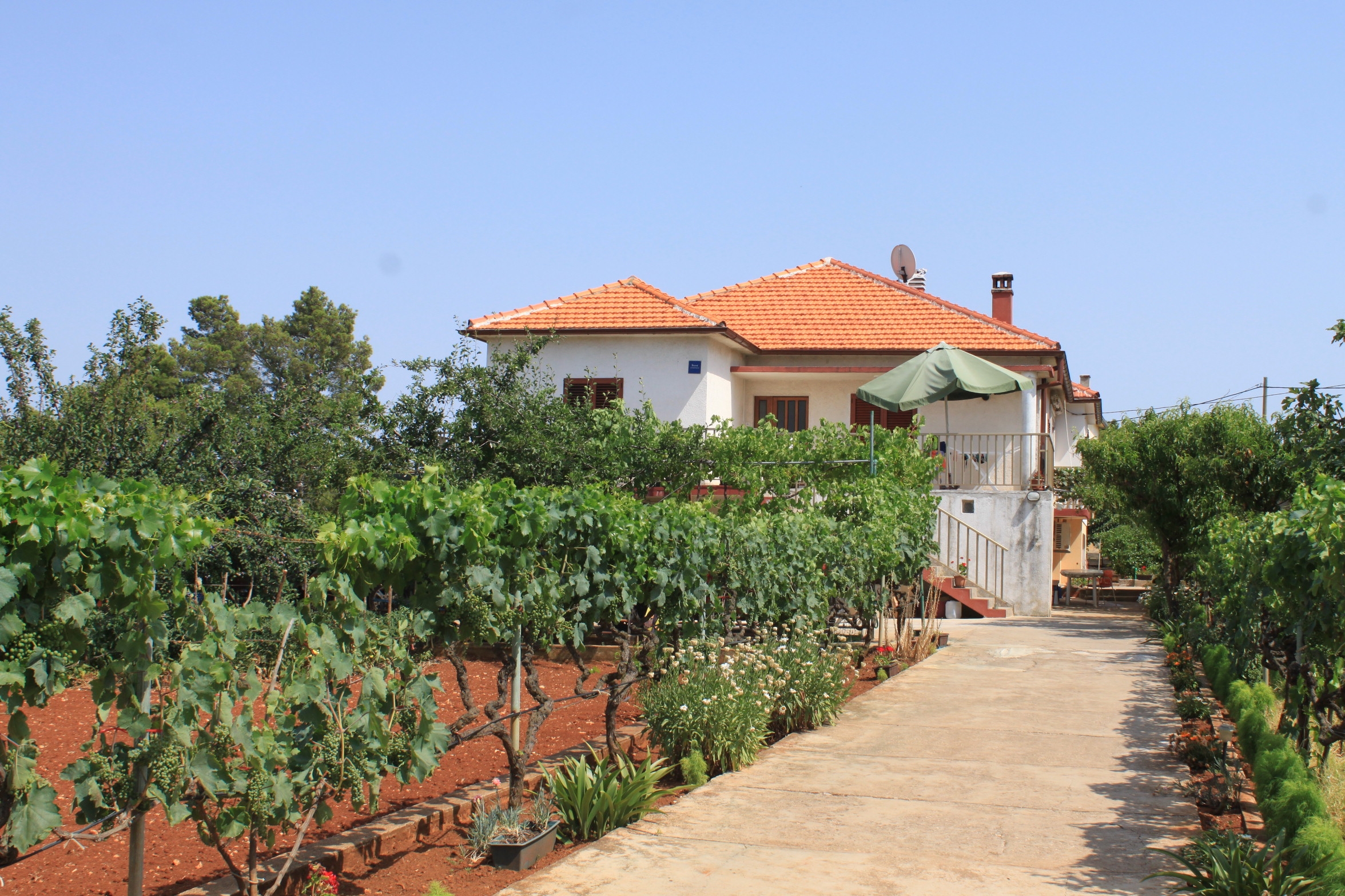 Ferienwohnung im Ort Ugljan (Ugljan), Kapazitä Ferienwohnung in Kroatien