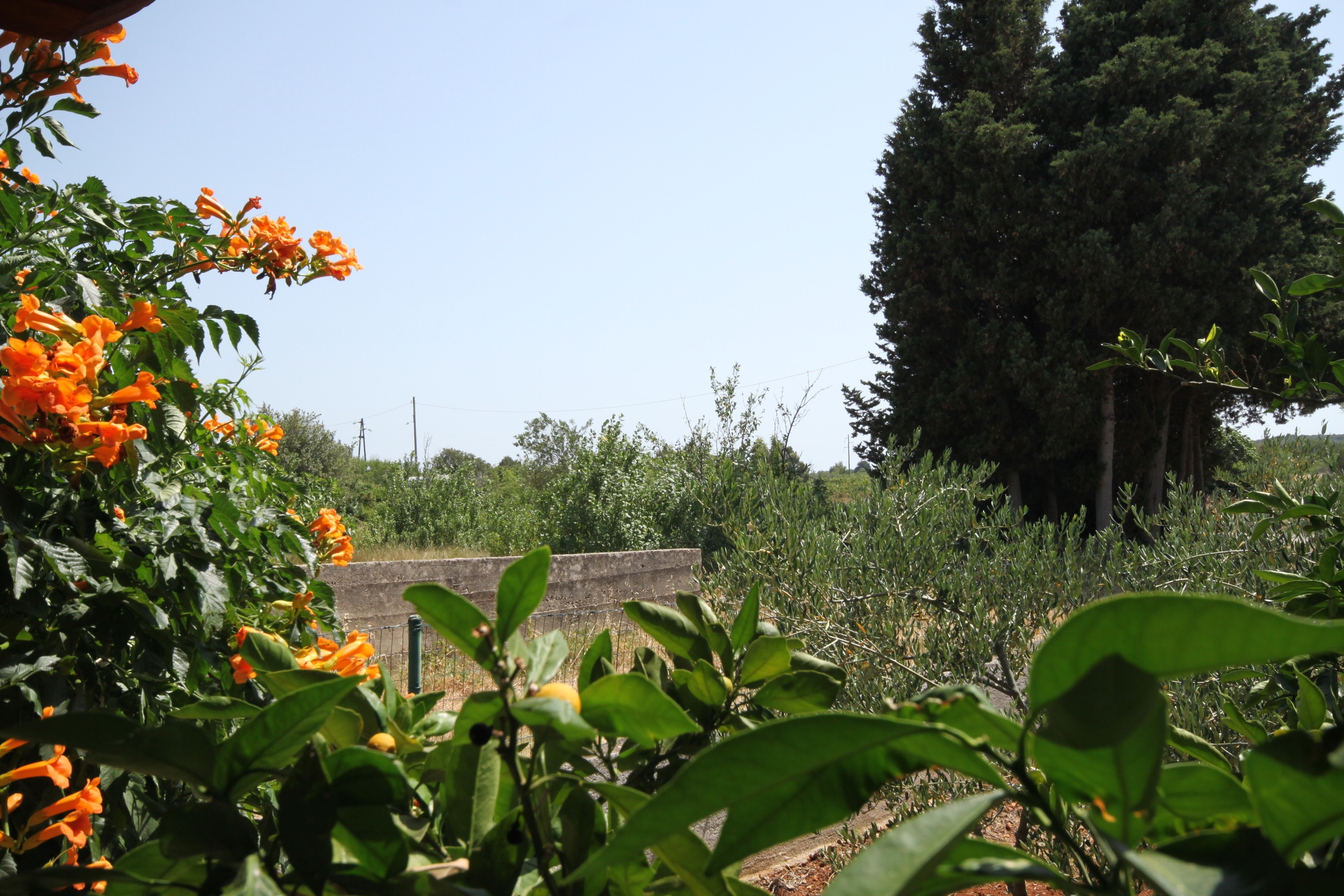 Studio flat with terrace Sušica, Ugljan (AS-8265-a) Studio flat with terrace Sušica, Ugljan (AS-8265-a)