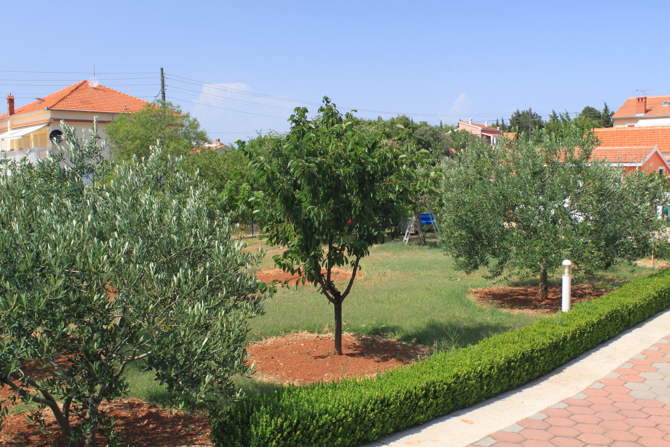 Top Ugljan Sušica Top Ugljan Sušica