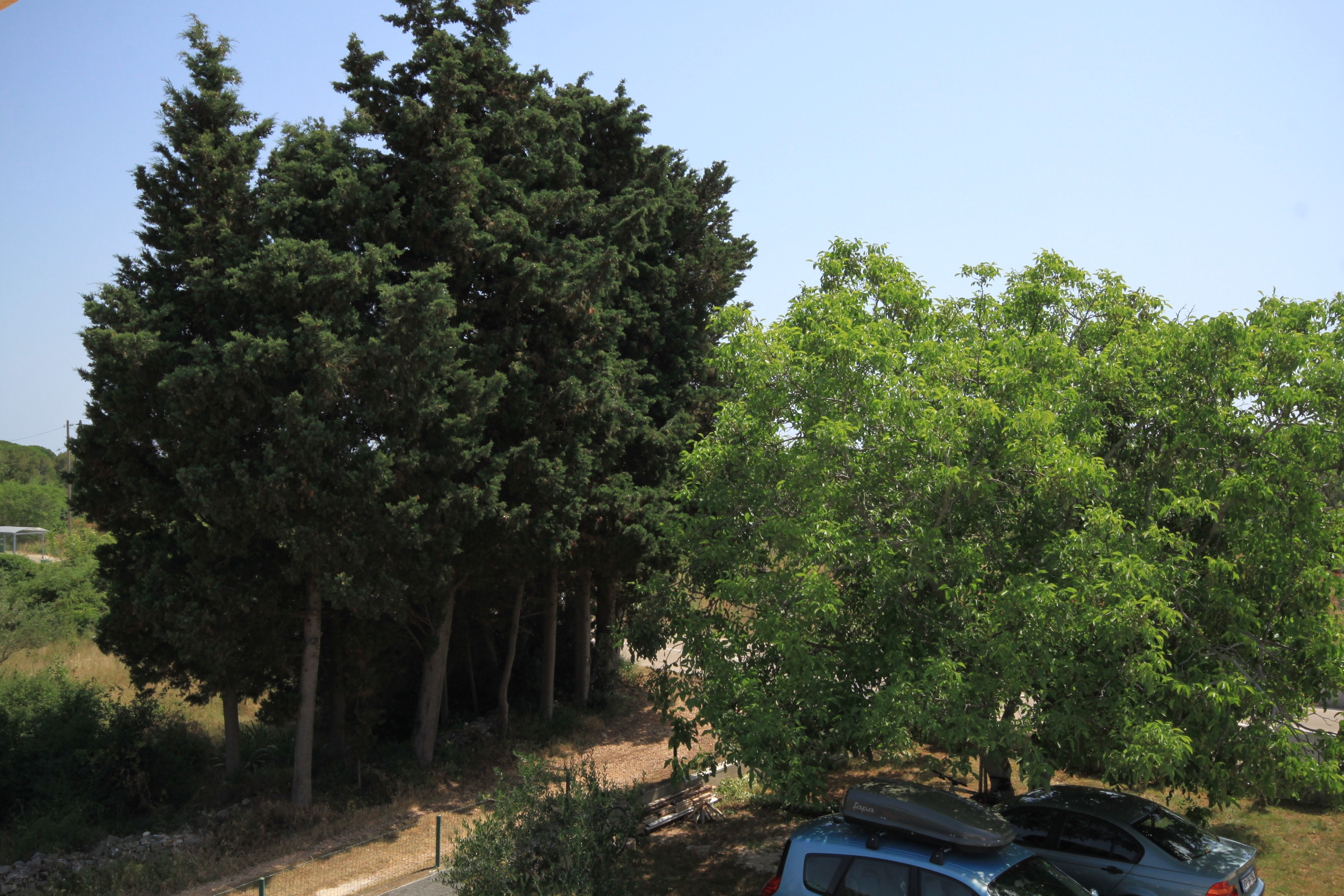 Top Ugljan Sušica Top Ugljan Sušica