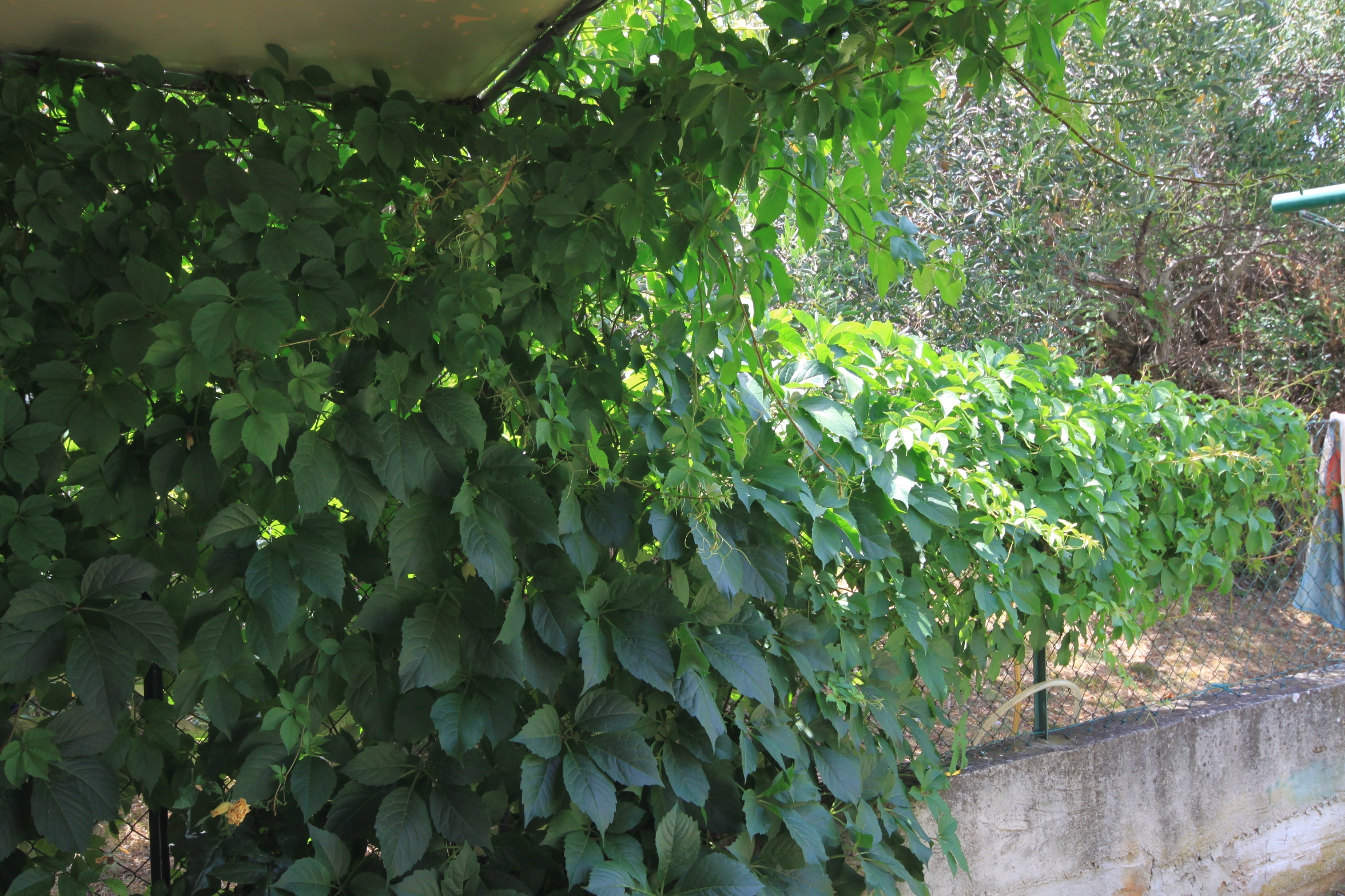One bedroom apartment with terrace Neviđane, Pašman  A-c