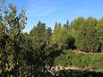 Ugljan, Terrasse - Ausblick in folgender Unterkunftsart apartment, WiFi.