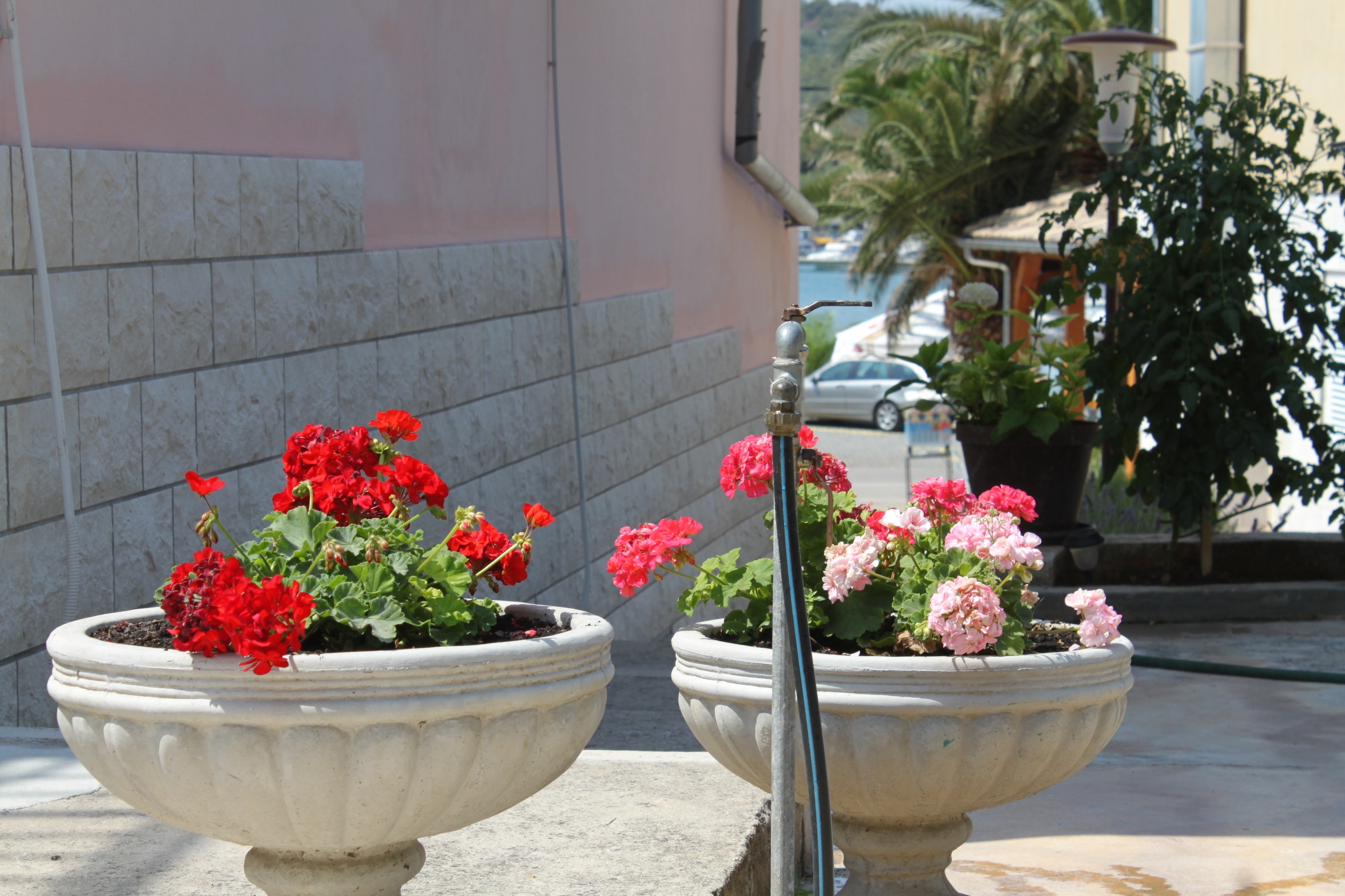 Top Ugljan Kukljica Top Ugljan Kukljica