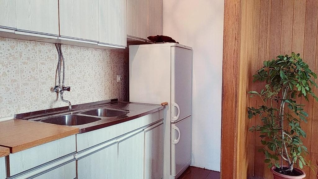 Top Lastovo Top Lastovo