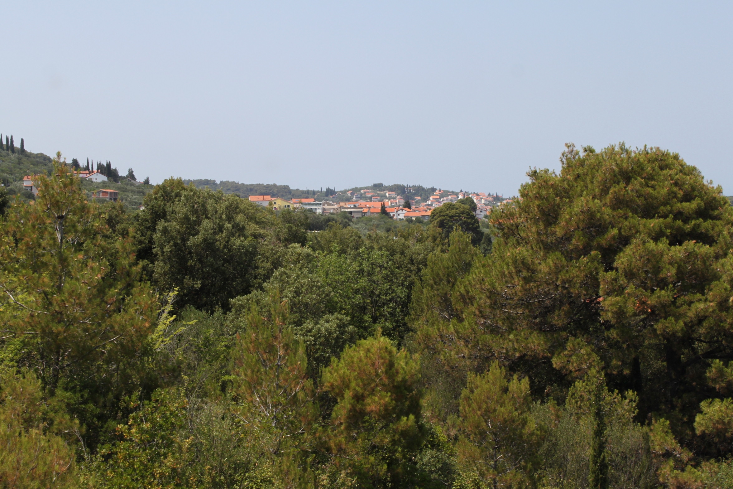 Two bedroom apartment with terrace and sea view Kali, Ugljan  A-a