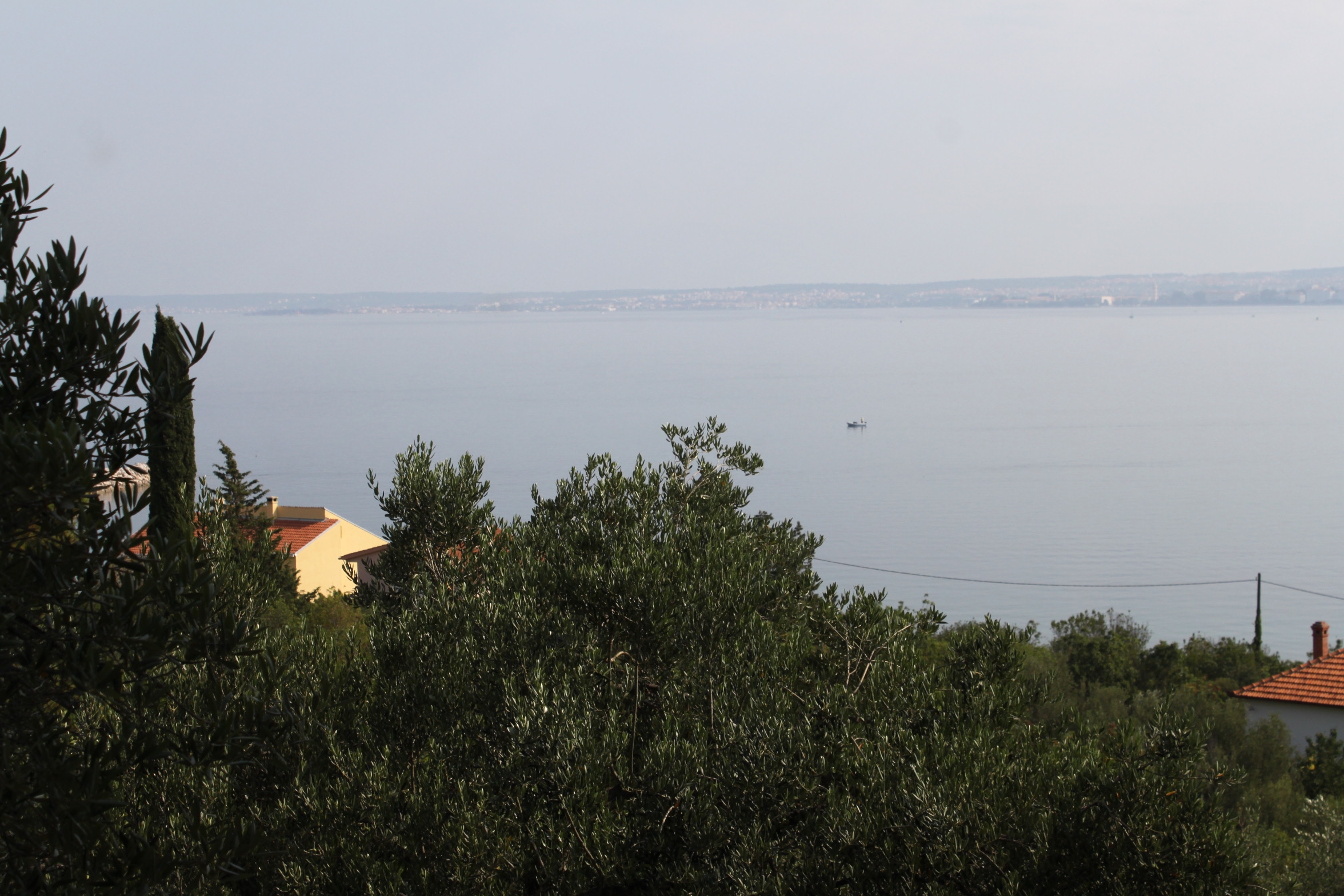 Three bedroom apartment with terrace and sea view Kali, Ugljan  A-c