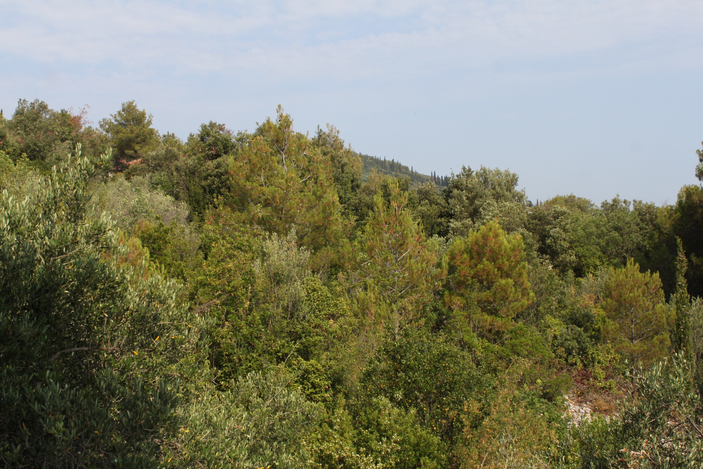 Three bedroom apartment with terrace and sea view Kali, Ugljan  A-c