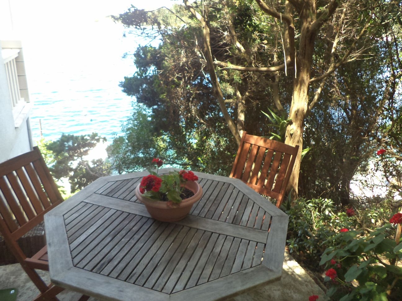 Top Lastovo Zaklopatica Top Lastovo Zaklopatica