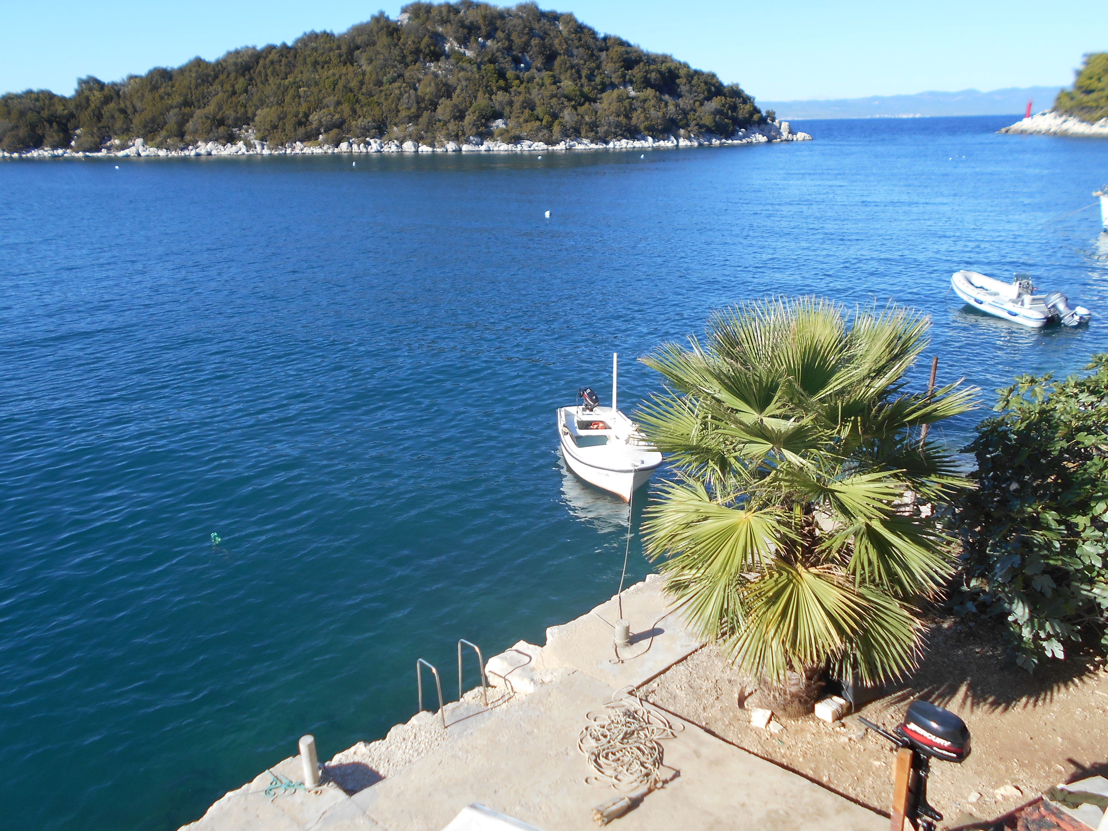 Top Lastovo Zaklopatica Top Lastovo Zaklopatica