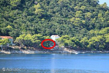 Property Ubli, Lastovo, Property 8353 - Apartments by the sea.