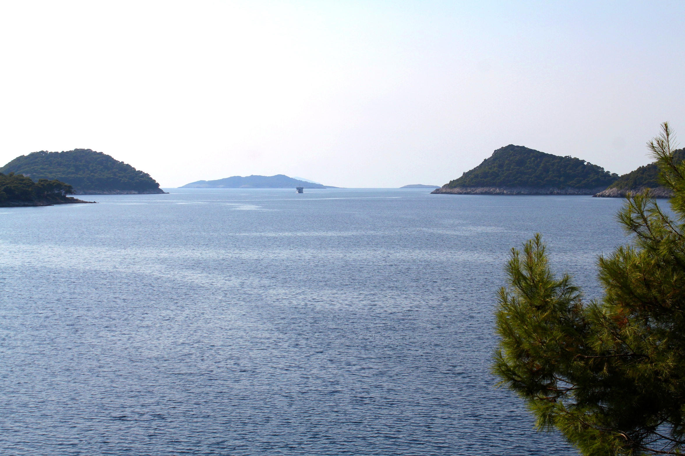 Top Lastovo Ubli Top Lastovo Ubli