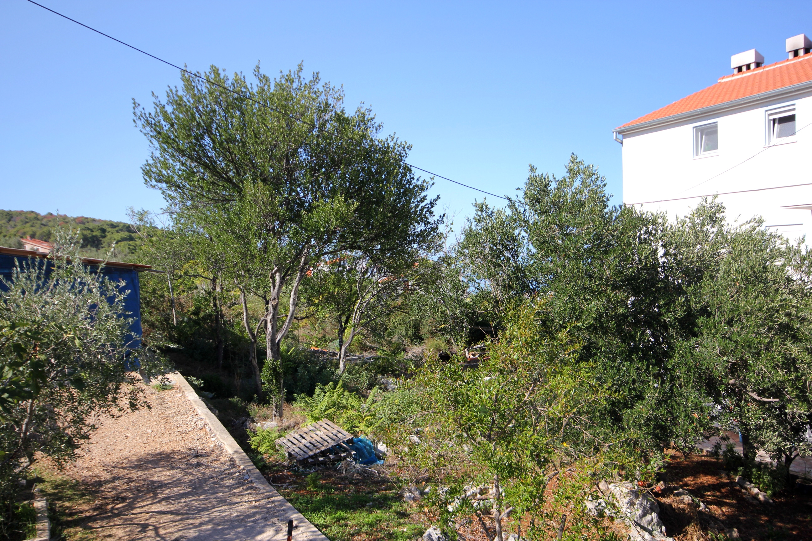 One bedroom apartment with terrace and sea view Lukoran, Ugljan  A-b