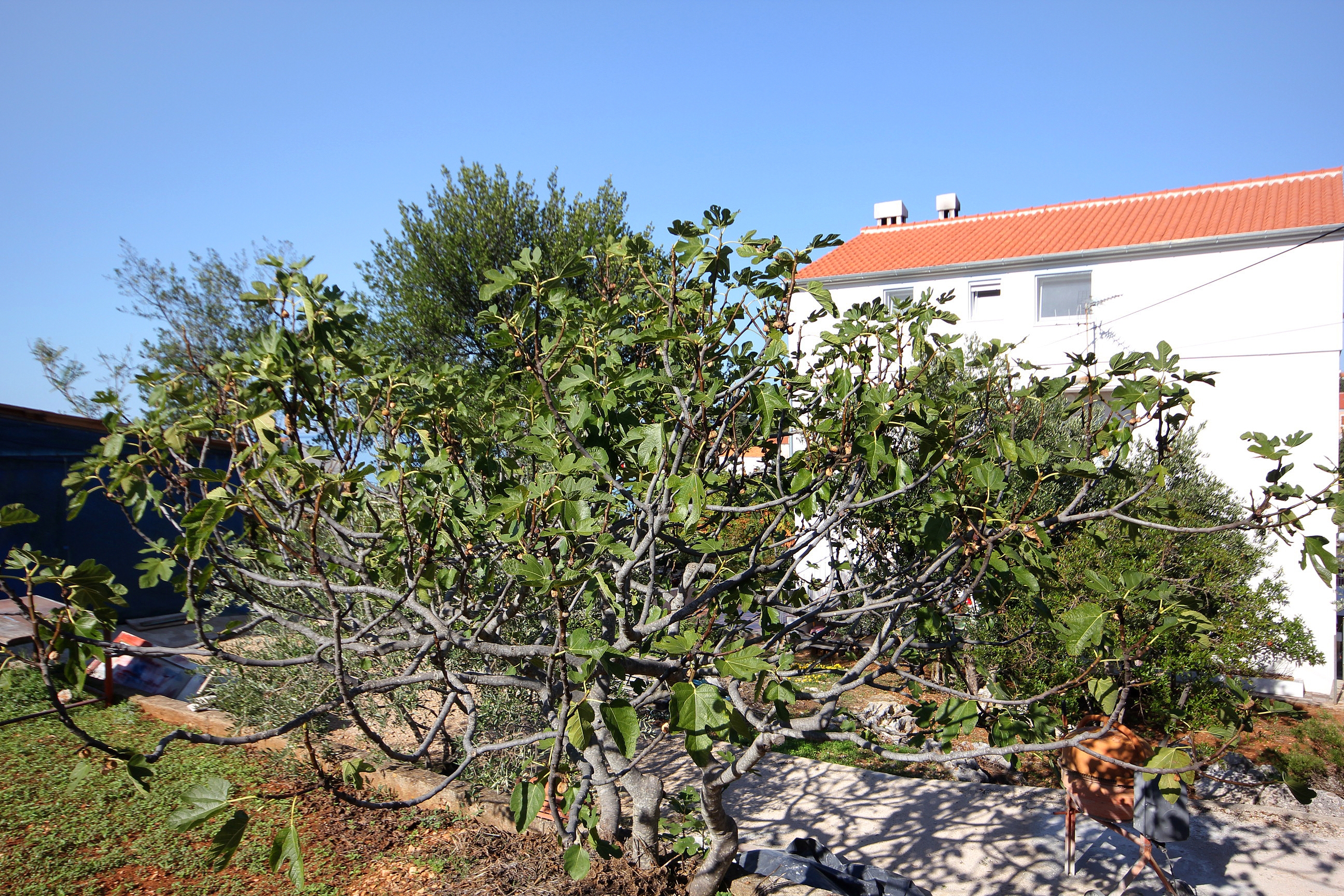 Top Ugljan Lukoran Top Ugljan Lukoran