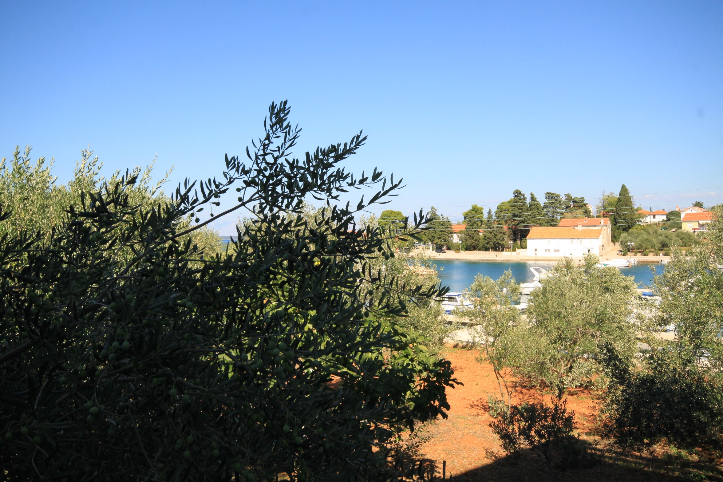 Two bedroom apartment near beach Lukoran, Ugljan  A-b
