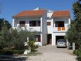 Ugljan, Ugljan, Property 8403 - Apartments with pebble beach.