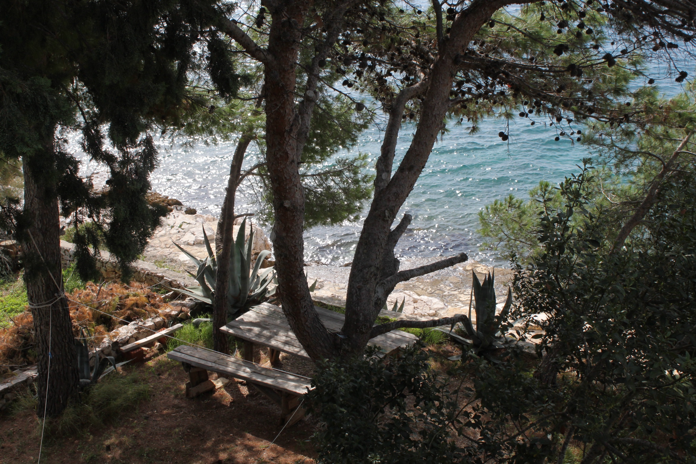 Four bedroom apartment near beach Ždrelac, Pašman  A-b