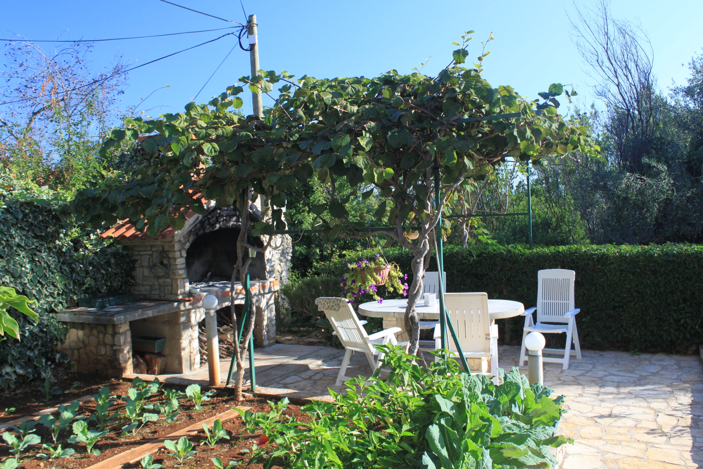 Studio flat with balcony Ždrelac, Pašman (AS-8424-a)