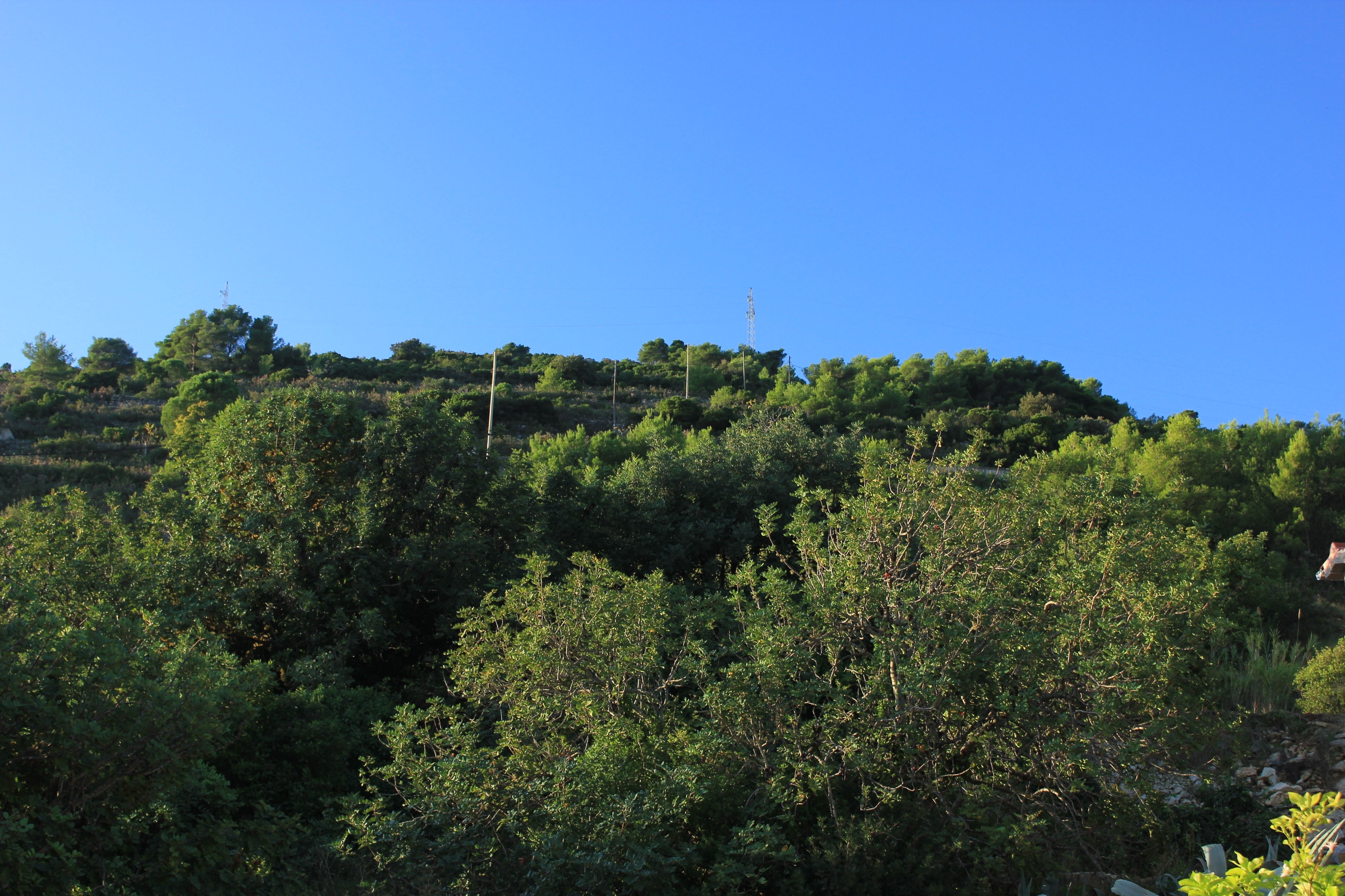 One bedroom apartment with balcony Vis (A-8435-a)