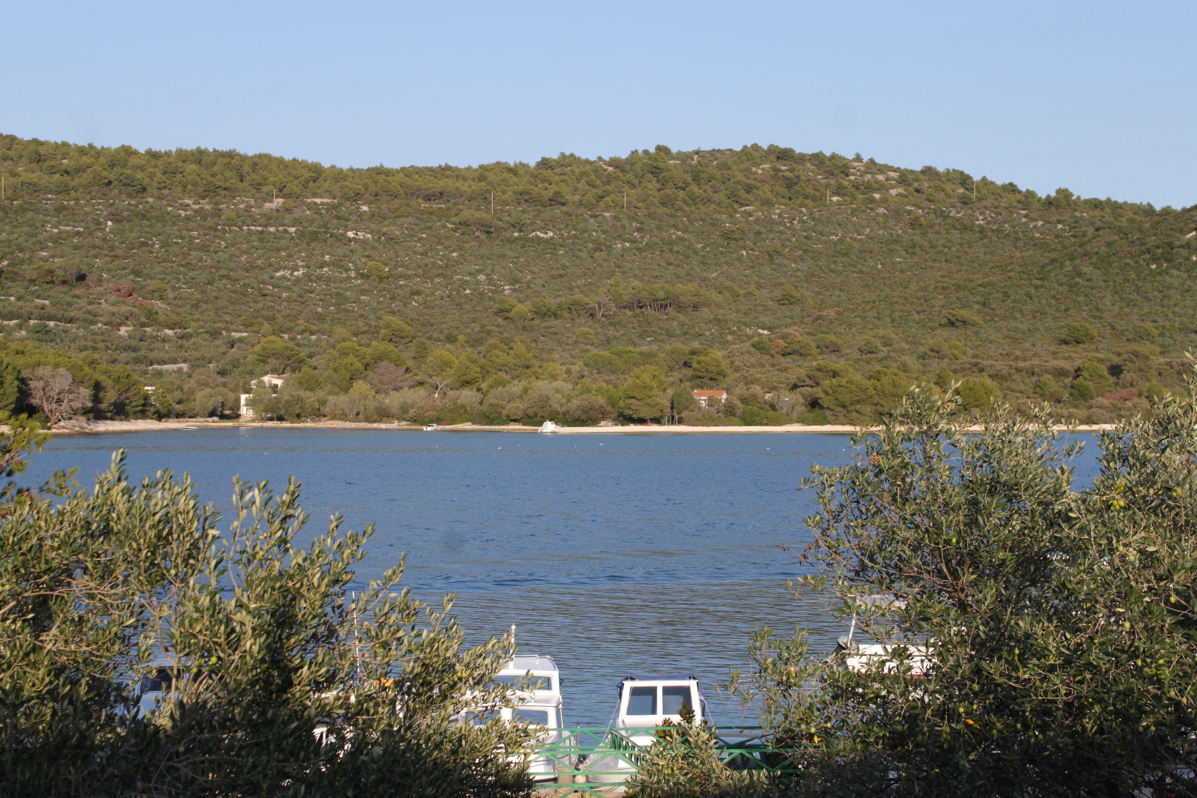 One bedroom apartment with terrace and sea view Cove Mala Lamjana, Ugljan (A-8449-b)