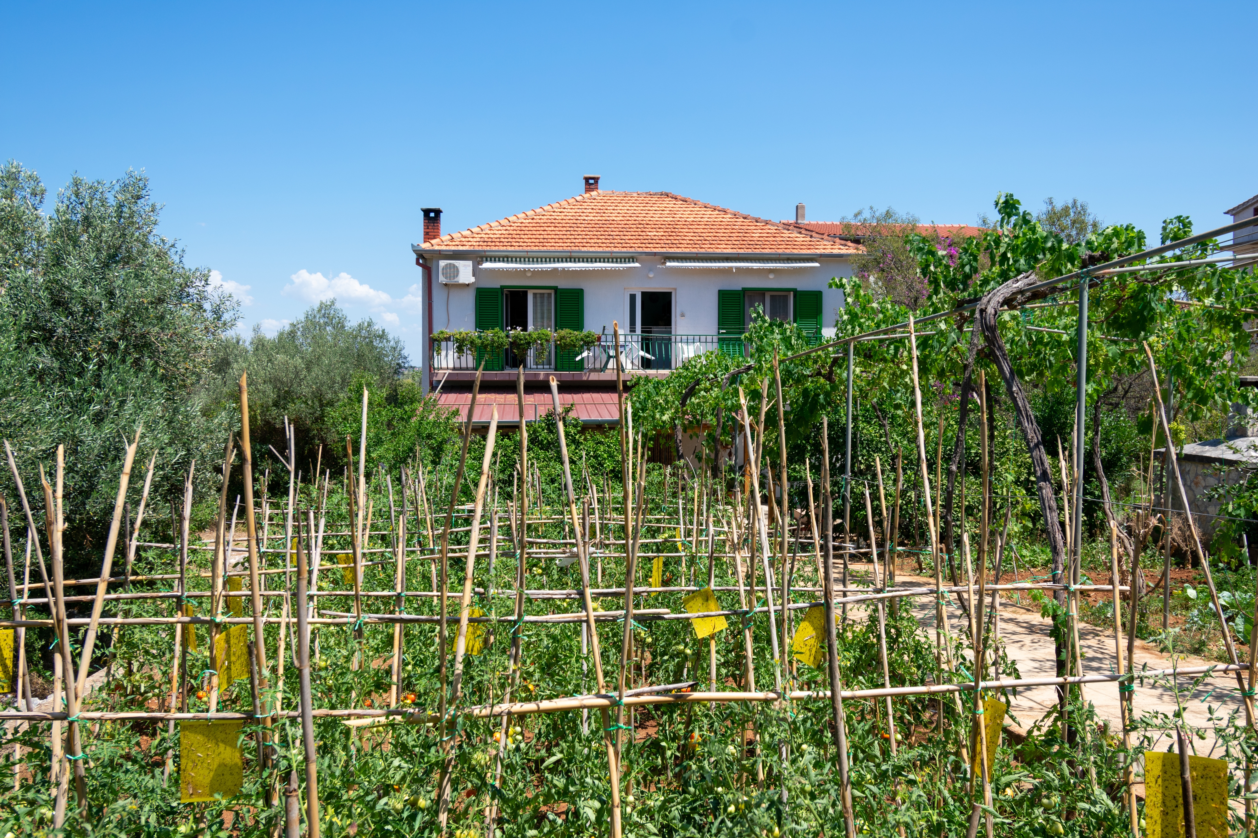 Ferienwohnung im Ort Kraj (Pa?man), Kapazität Ferienwohnung in Kroatien