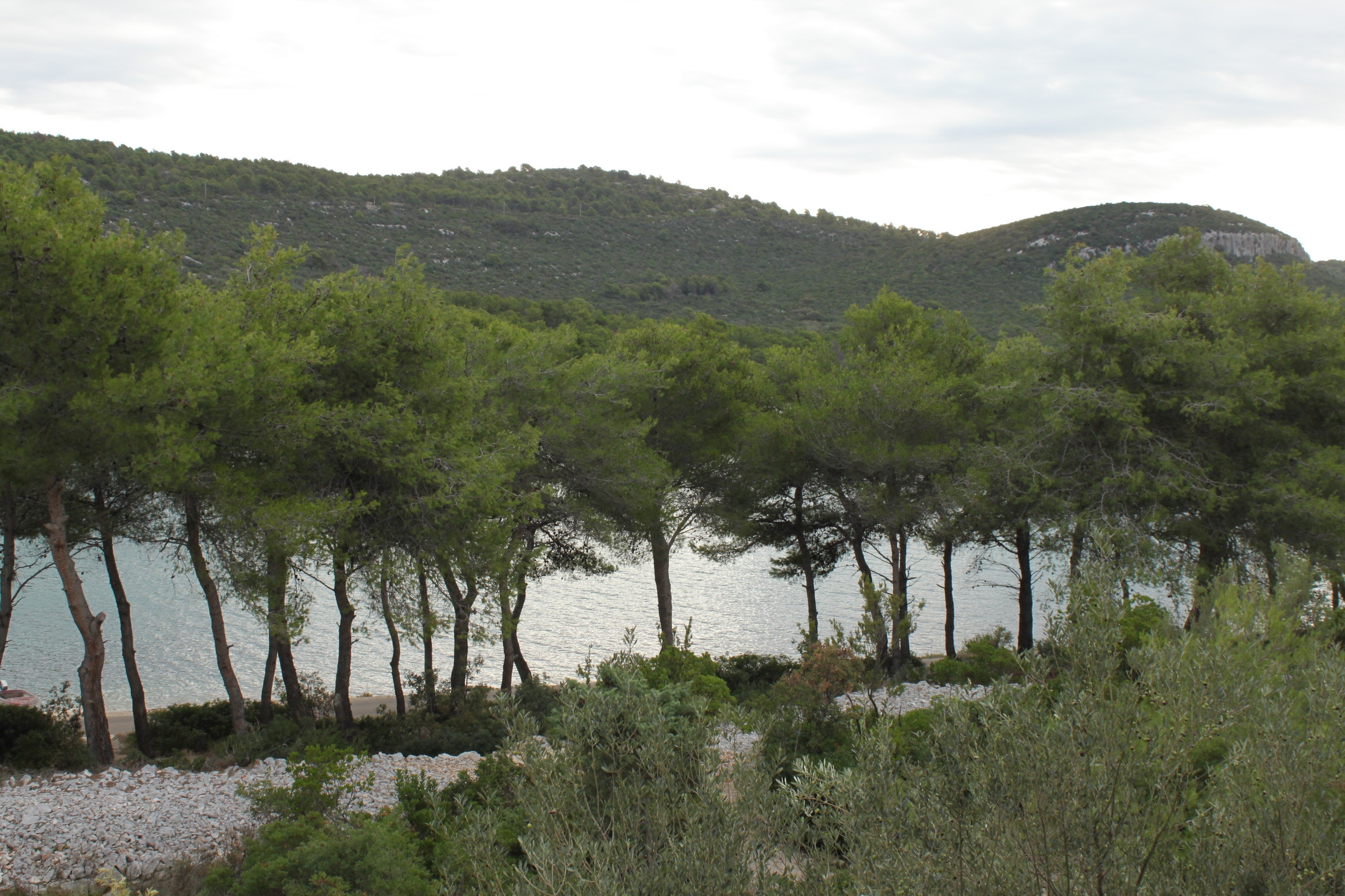 Top Ugljan Mala Lamjana Top Ugljan Mala Lamjana