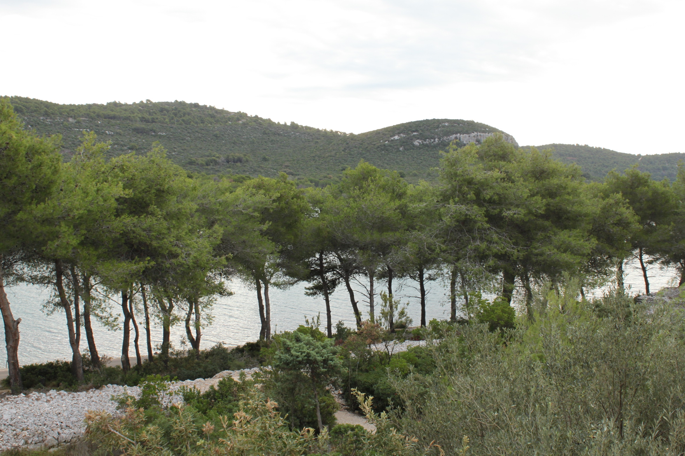 Two bedroom apartment near beach Cove Mala Lamjana, Ugljan  A-c