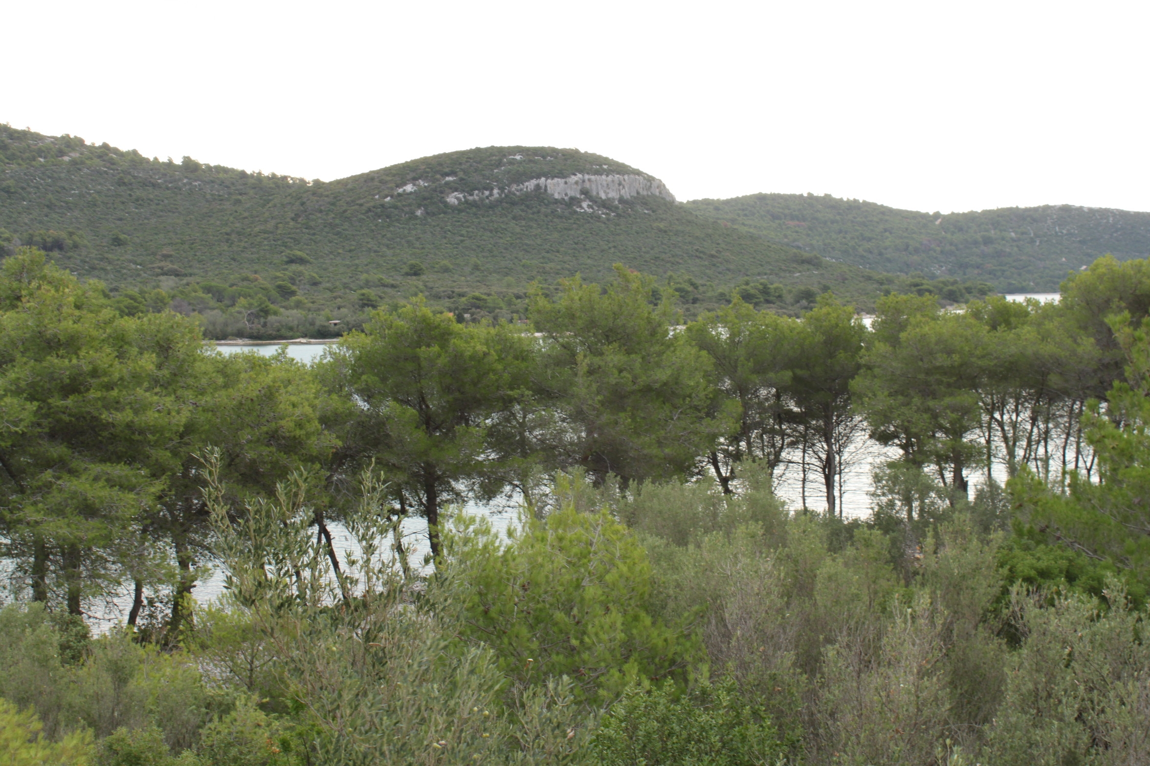 Studio flat near beach Cove Mala Lamjana, Ugljan  AS-a