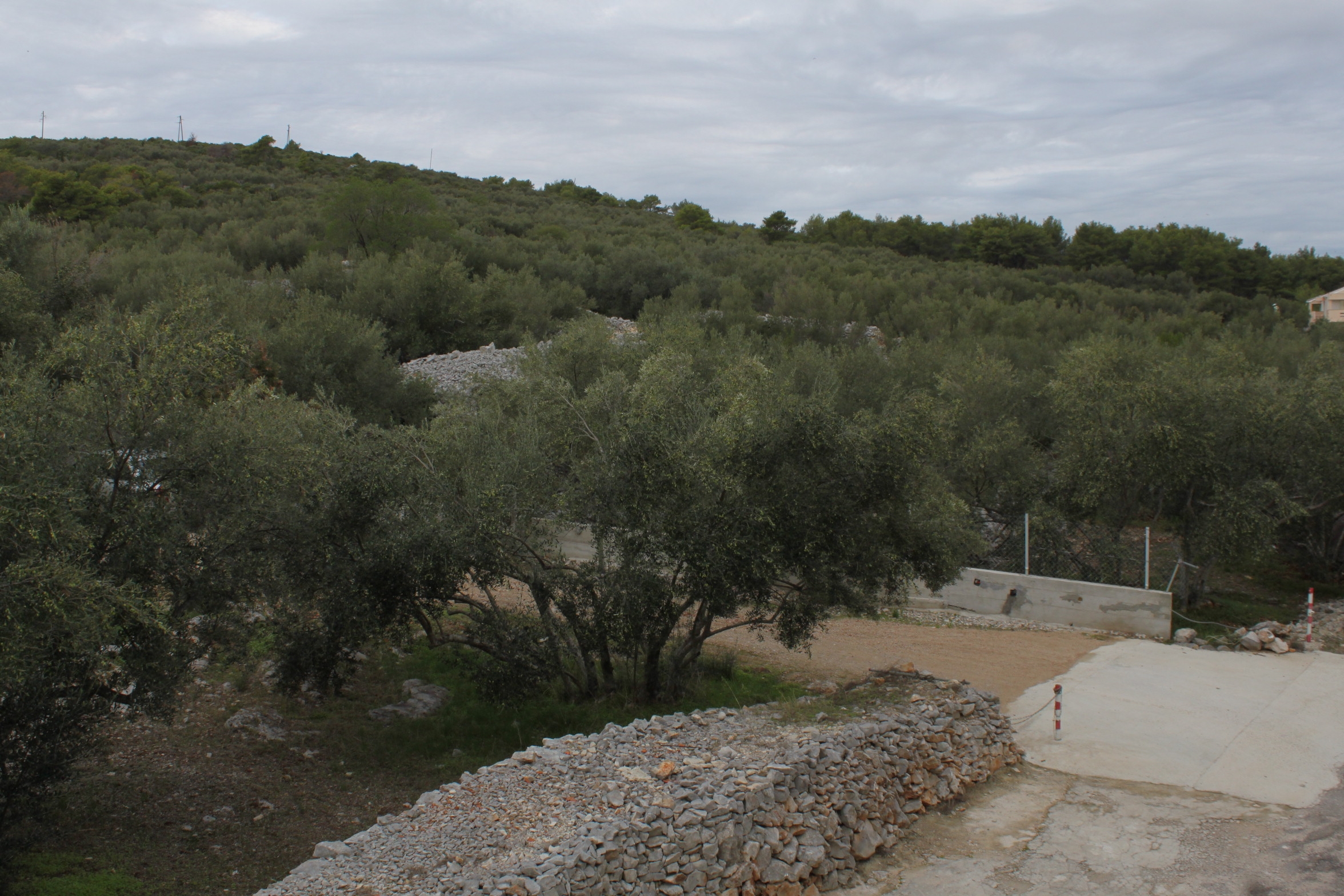 Studio flat near beach Cove Mala Lamjana, Ugljan  AS-a