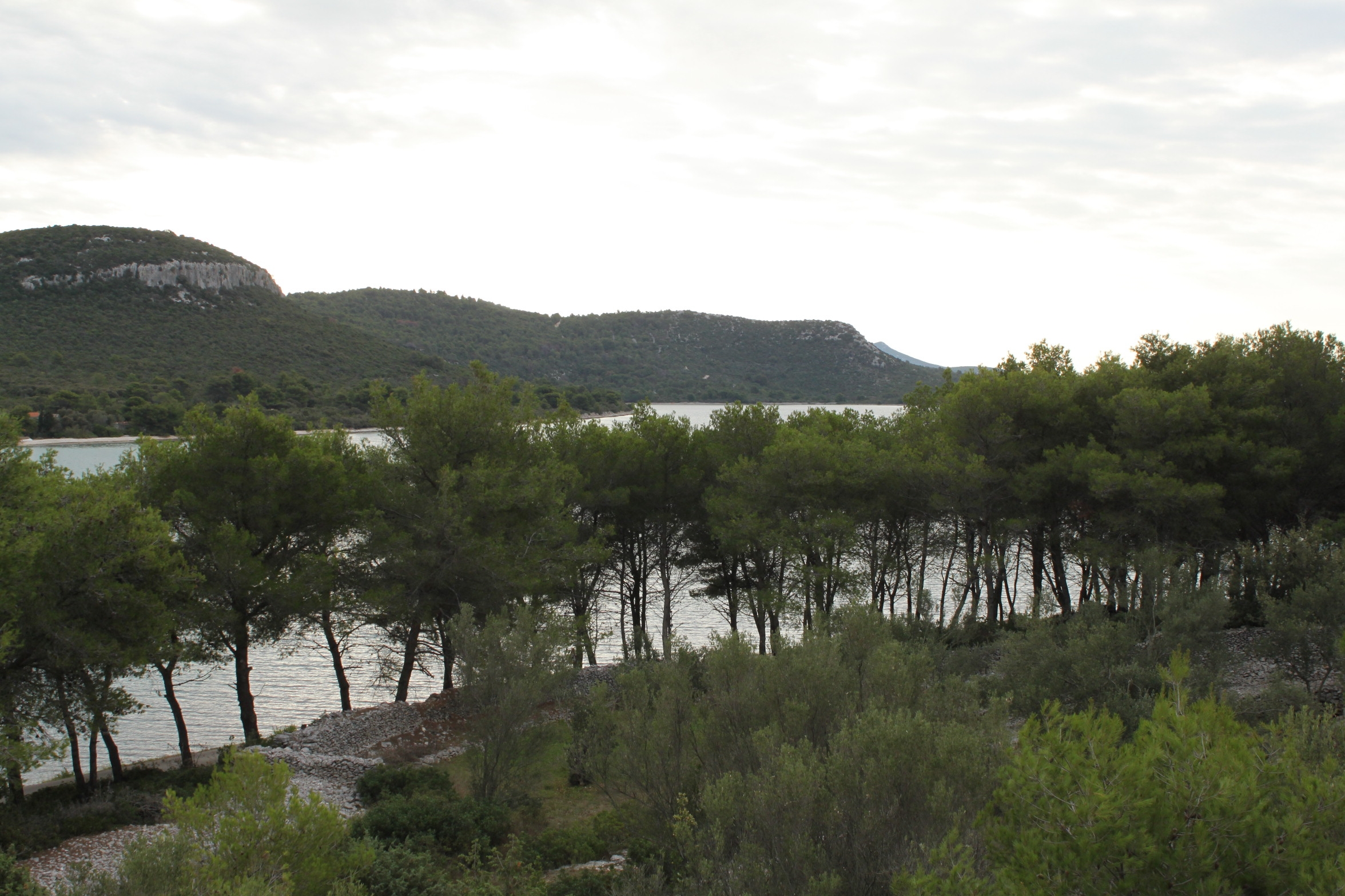 Top Ugljan Mala Lamjana Top Ugljan Mala Lamjana