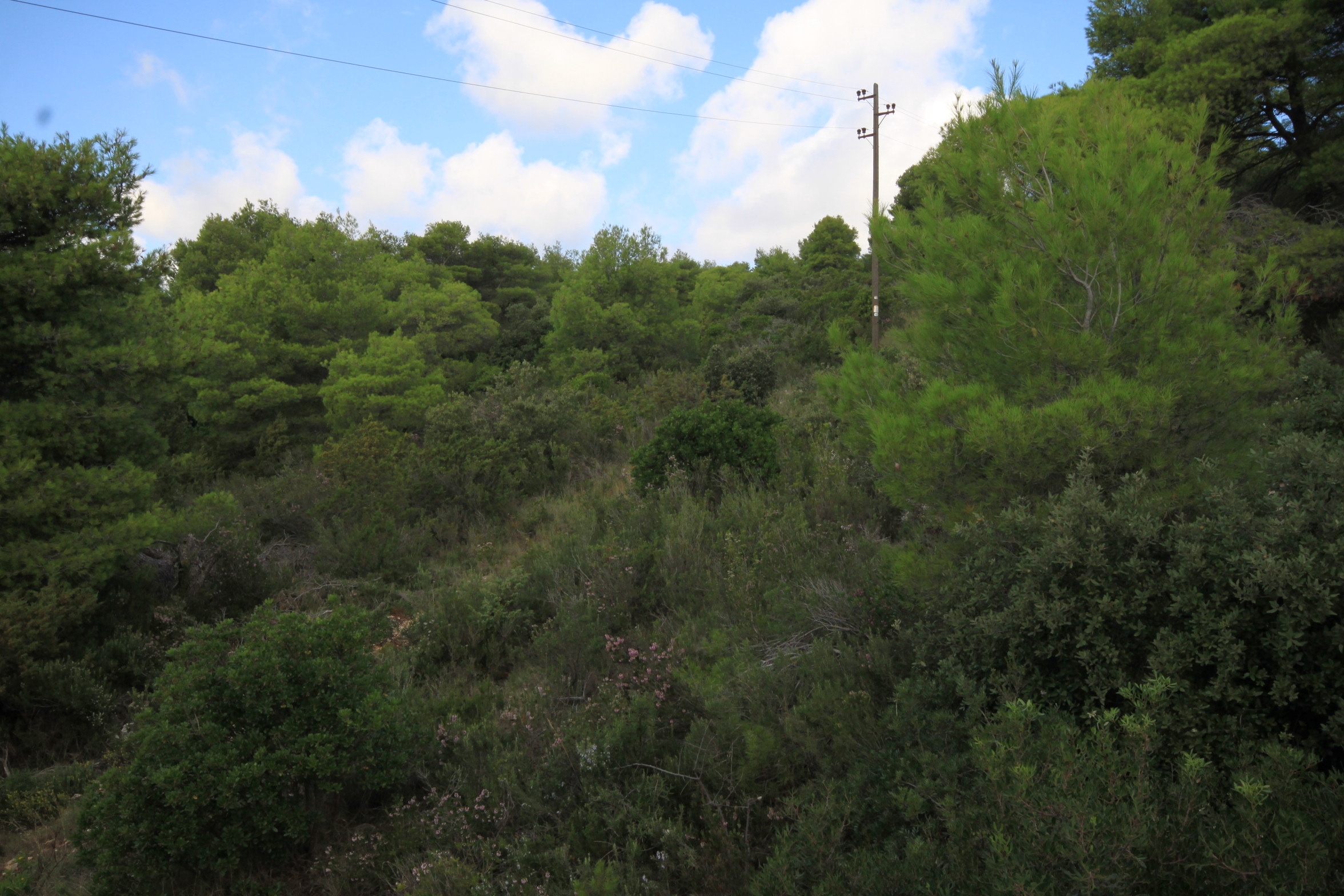 Two bedroom apartment with terrace and sea view Rukavac, Vis  A-a