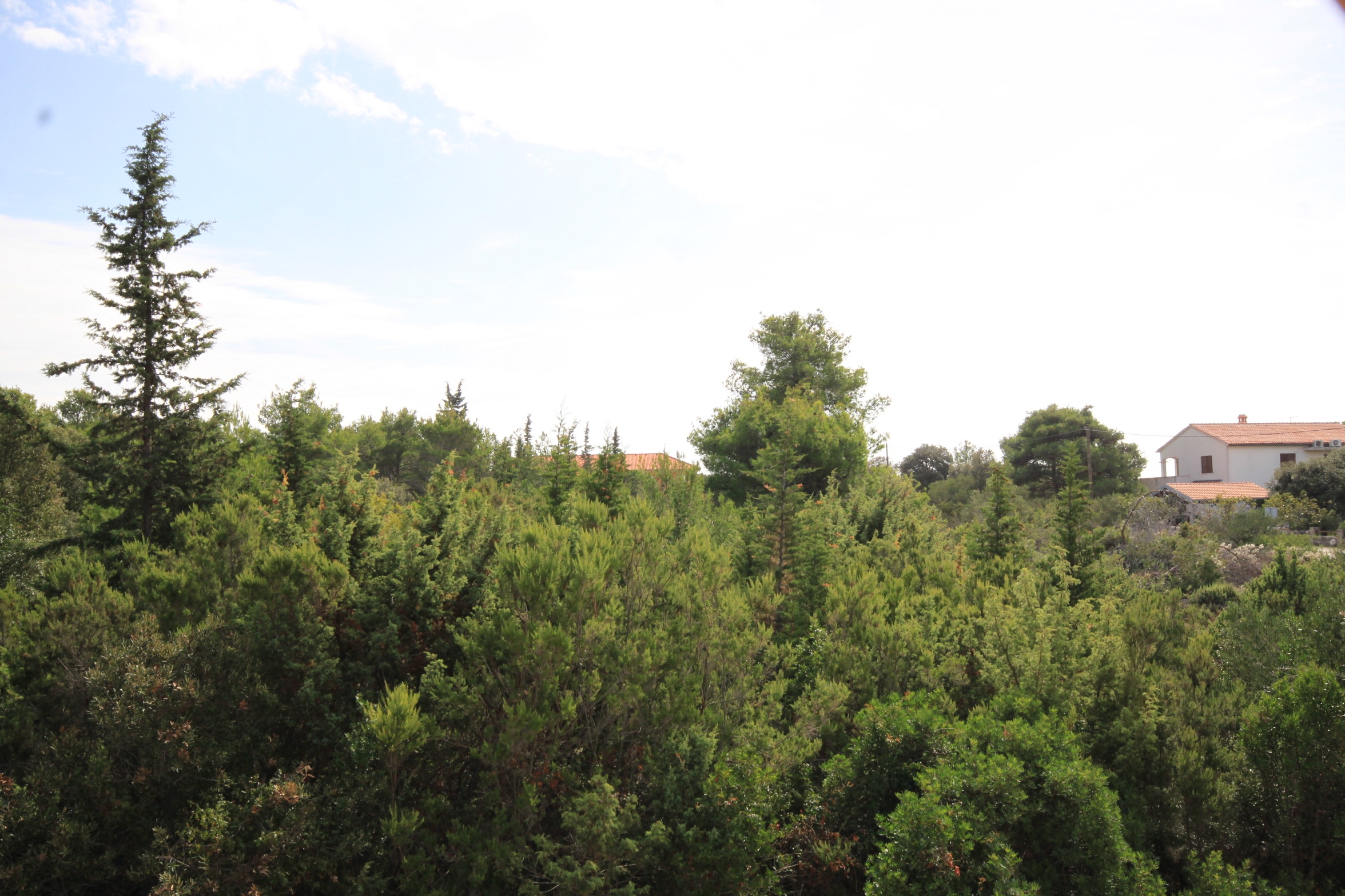 Three bedroom apartment with terrace and sea view Ugljan  A-a