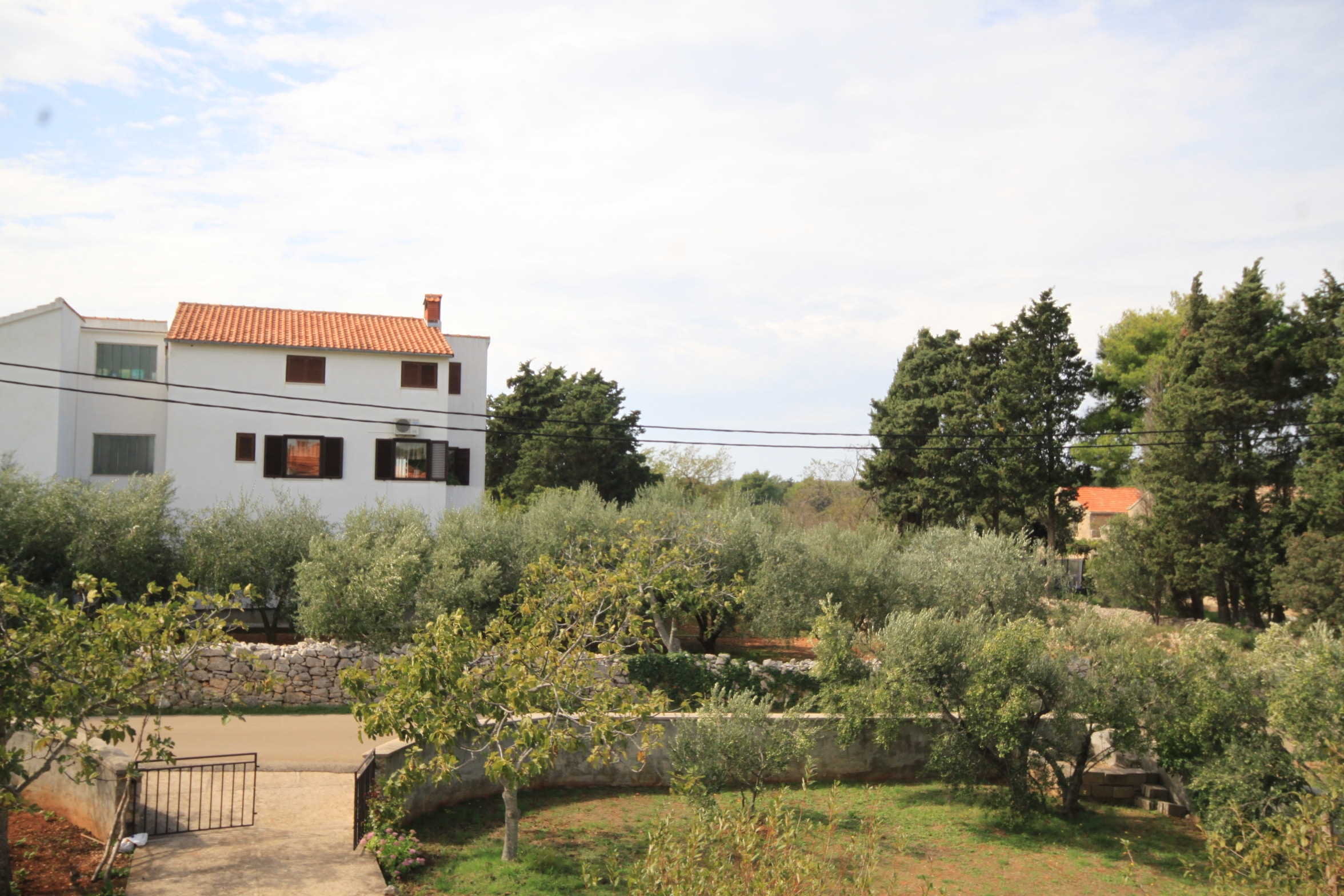 Three bedroom apartment with terrace and sea view Ugljan  A-a