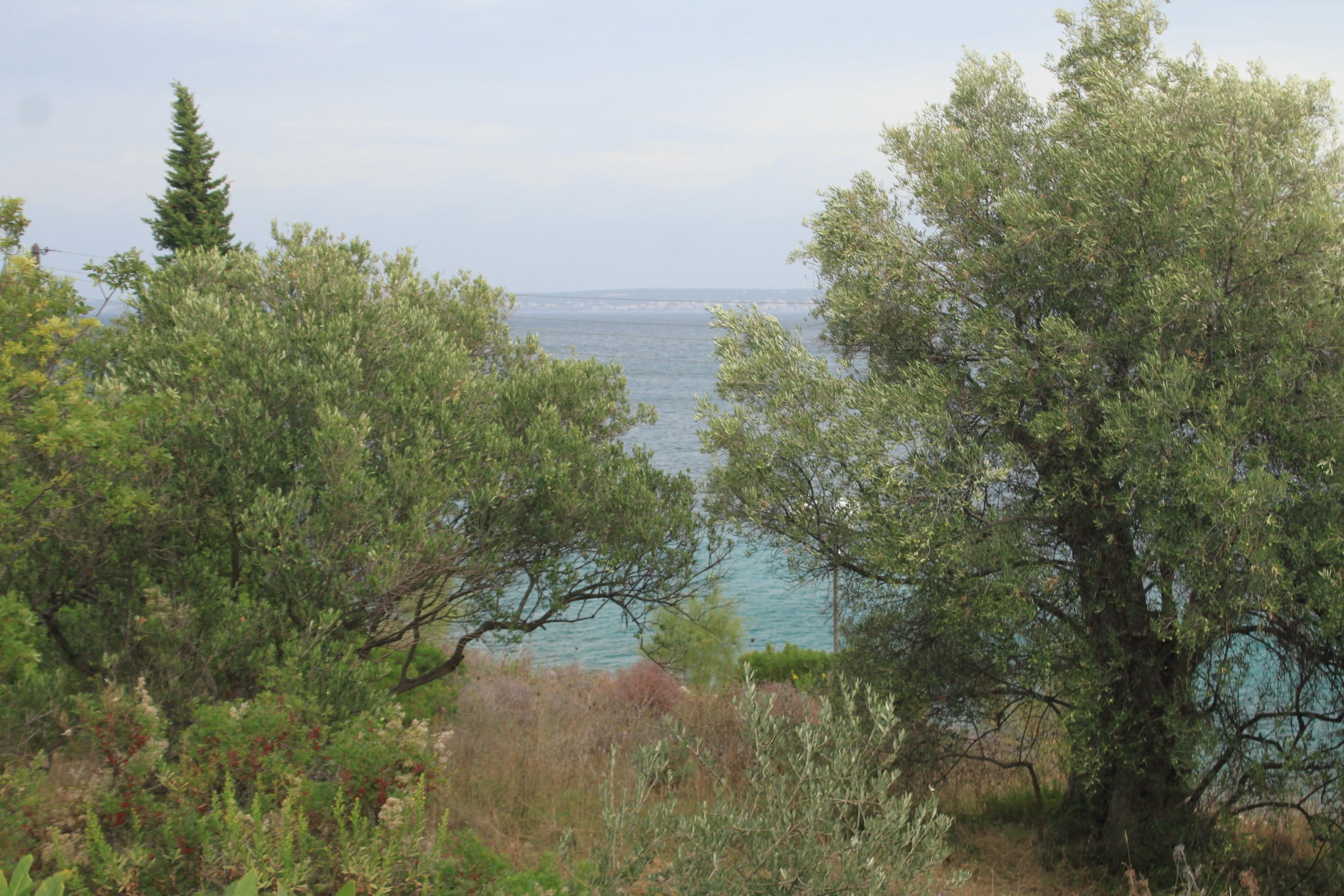 Two bedroom apartment near beach Lukoran, Ugljan  A-a