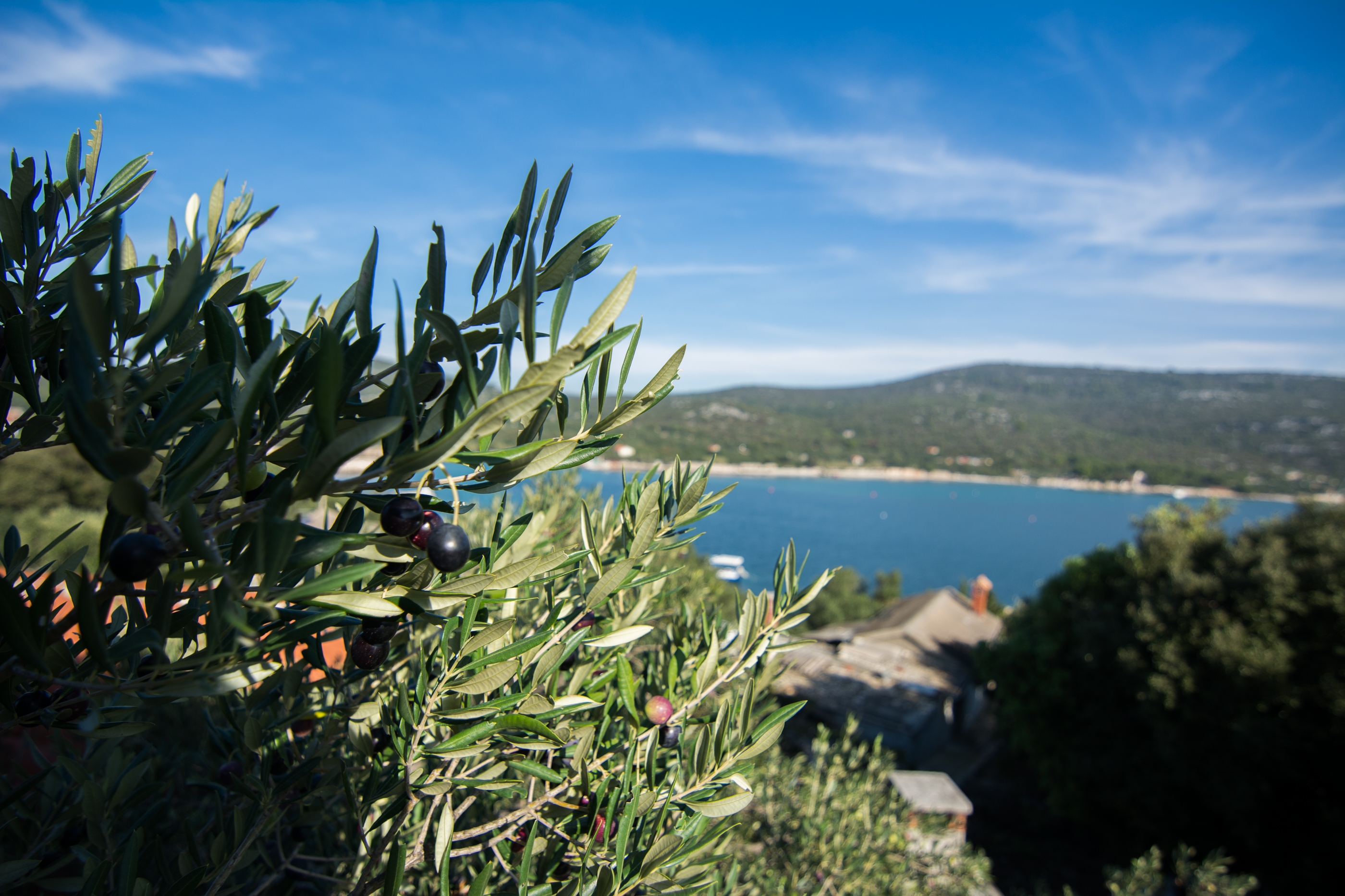 Four bedroom house near beach Cove Lađin - Lanđin, Pašman  K