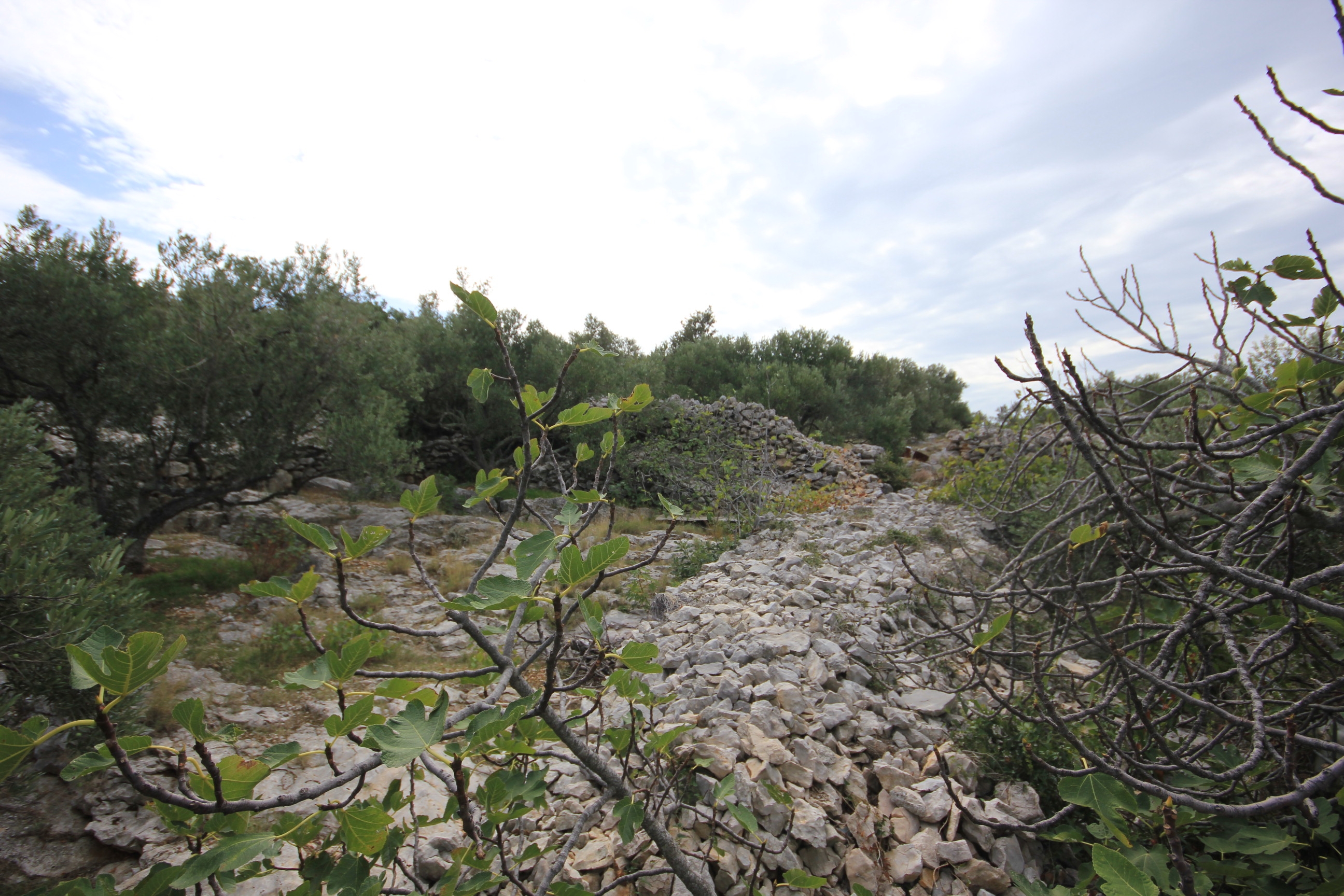 Four bedroom house near beach Cove Lađin - Lanđin, Pašman  K