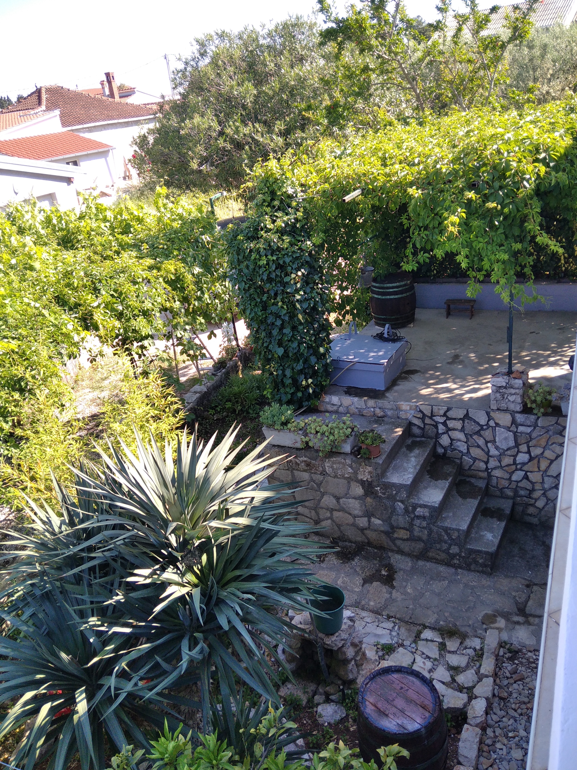 One bedroom apartment with terrace and sea view Ugljan (A-8527-a)