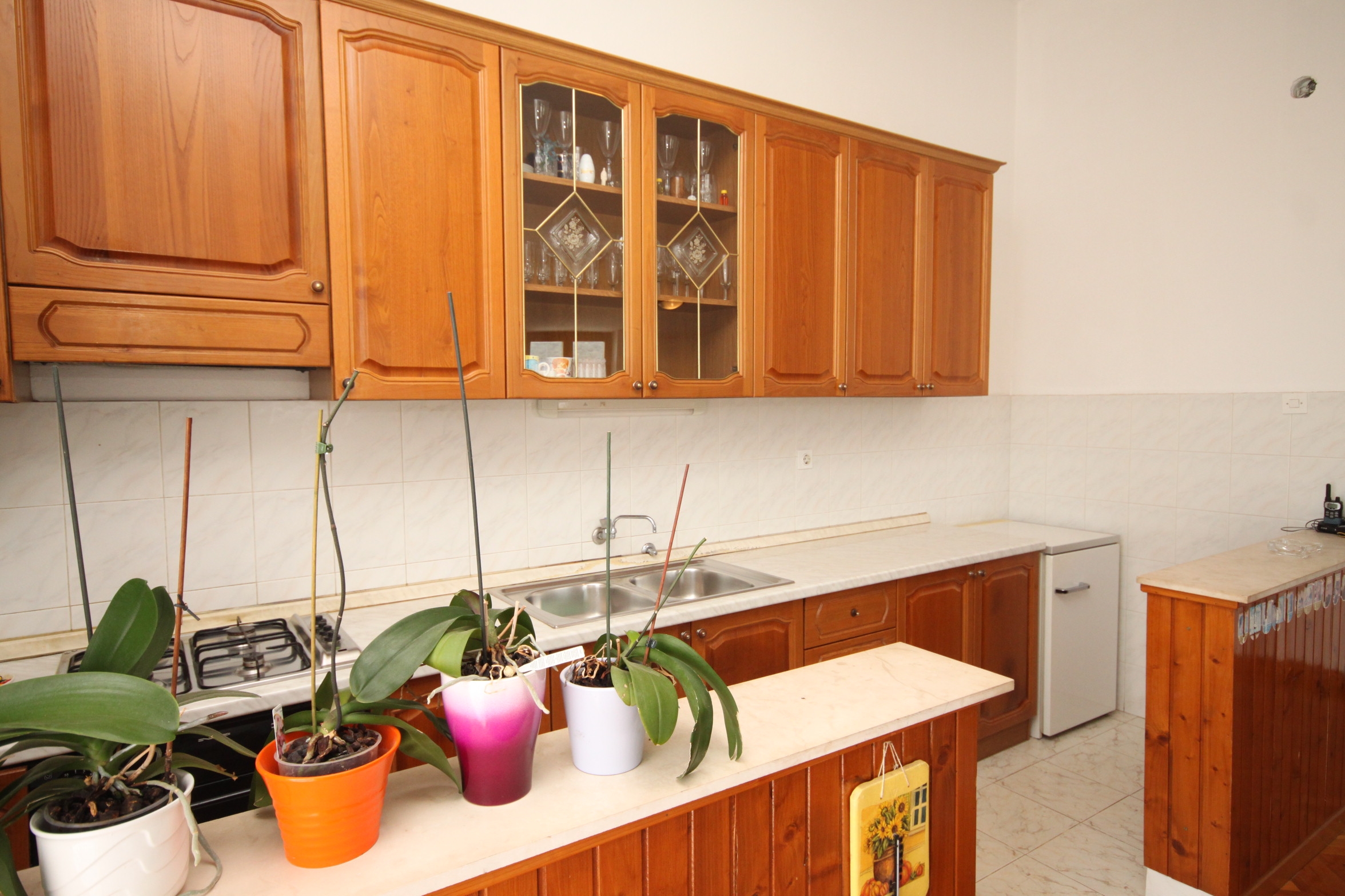 Top Pašman Neviđane Top Pašman Neviđane