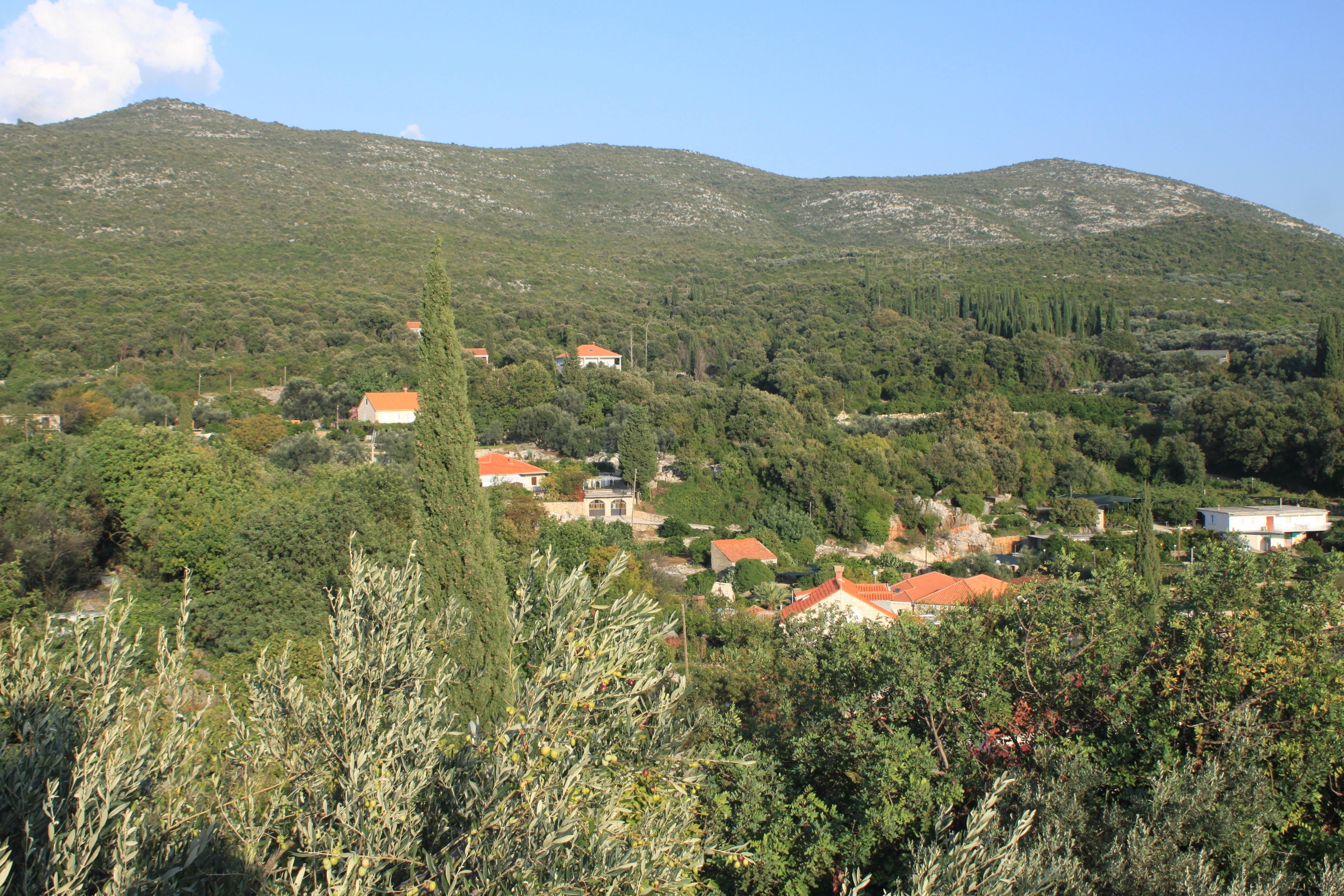 One bedroom apartment with balcony and sea view Molunat, Dubrovnik  A-a