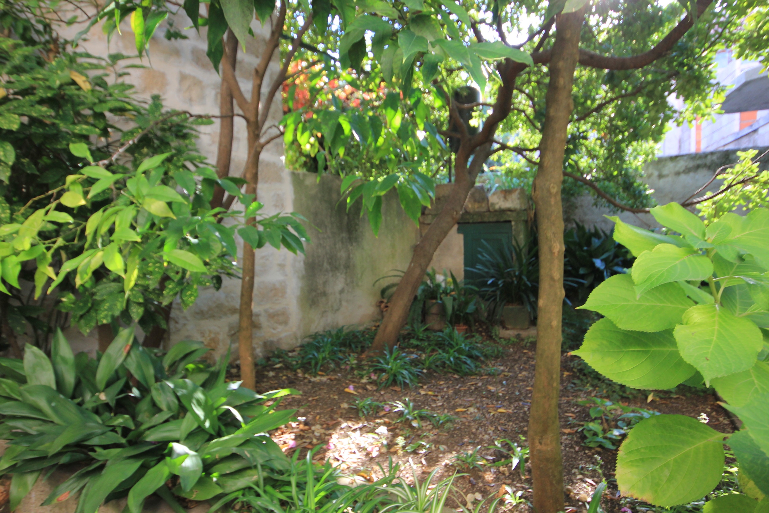 Three bedroom house with terrace Cavtat, Dubrovnik  K
