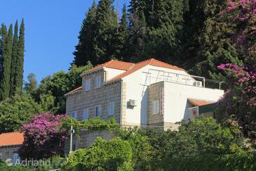 Property Slano, Dubrovnik, Property 8567 - Apartments with pebble beach.