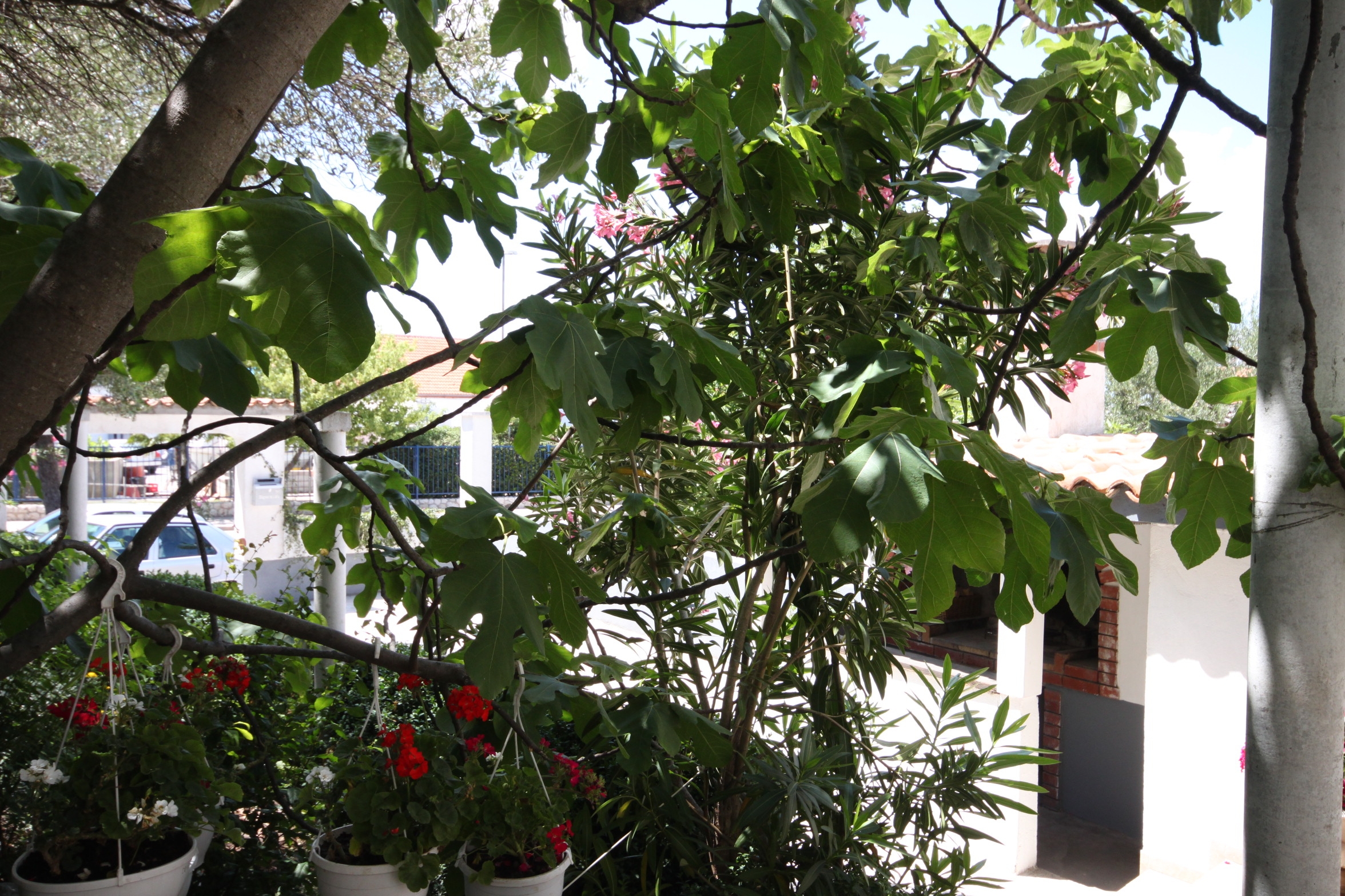 Two bedroom apartment with terrace Biograd na Moru, Biograd  A-a