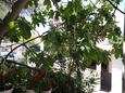Biograd na Moru, Terrasse - Ausblick in folgender Unterkunftsart apartment, WiFi.